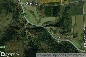 Alder Meadow Brook