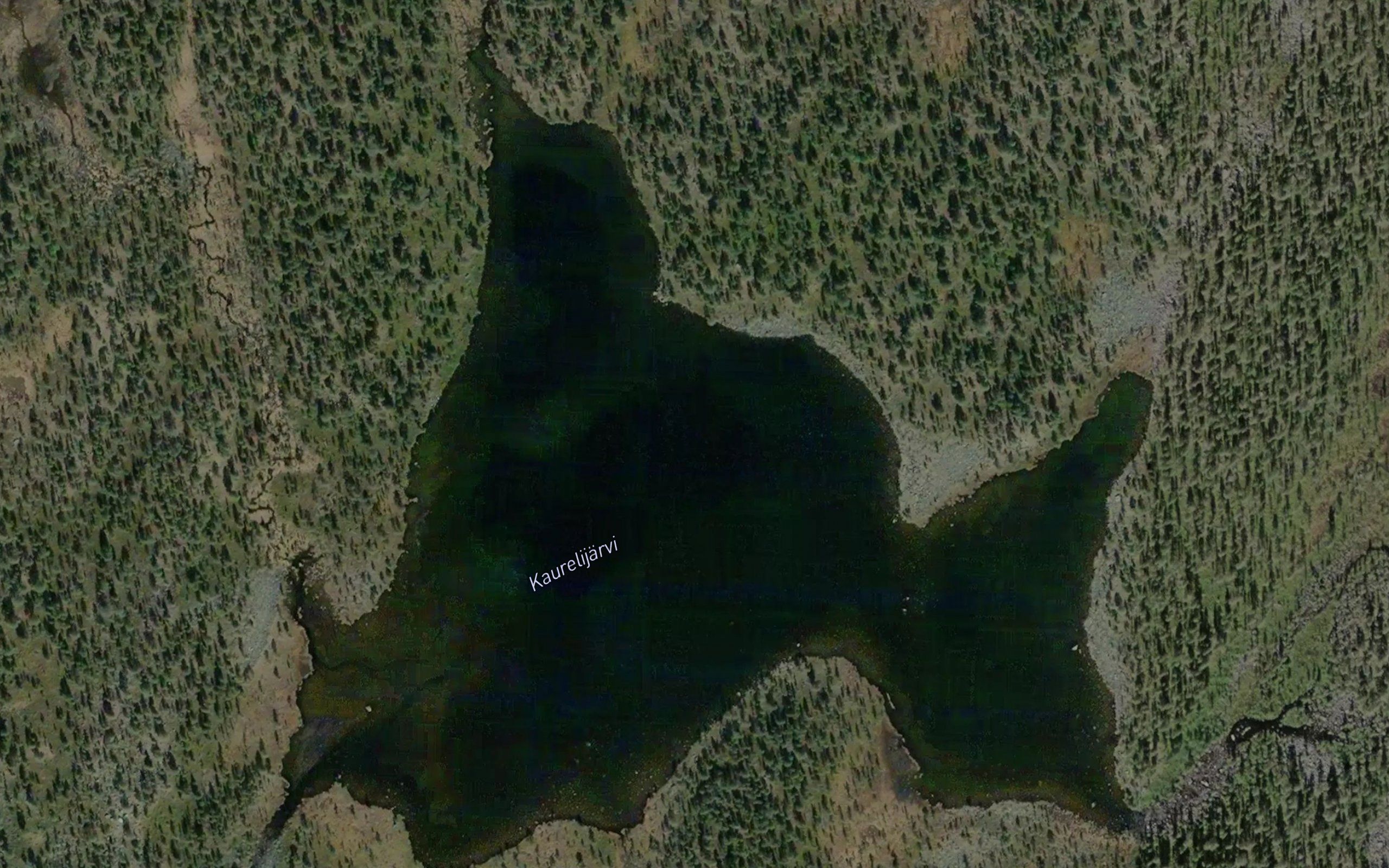 Kaurelijaervi