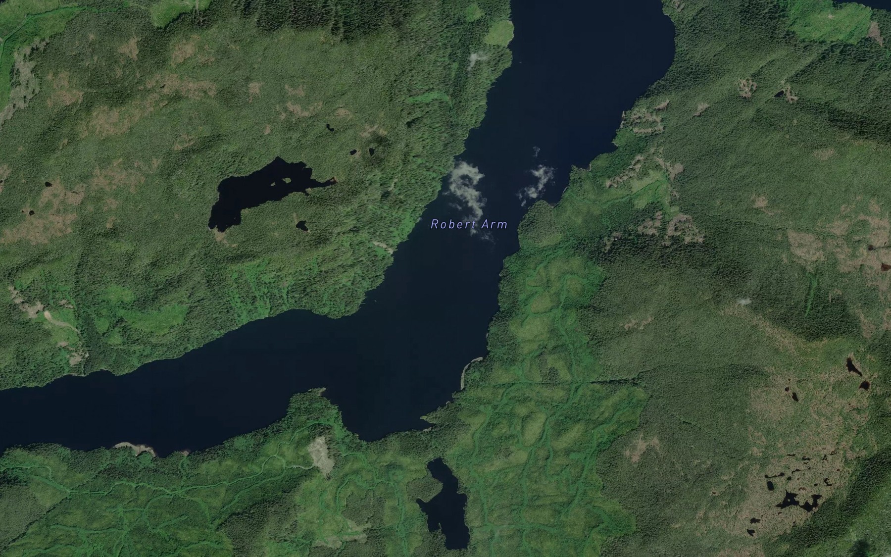 Satellite map of the Robert Arm