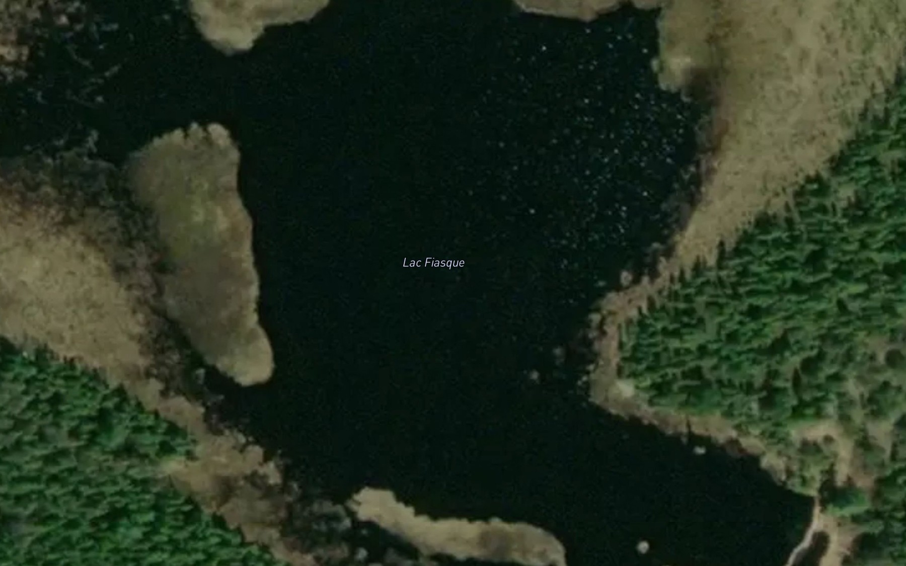 Satellite map of the Lac Fiasque
