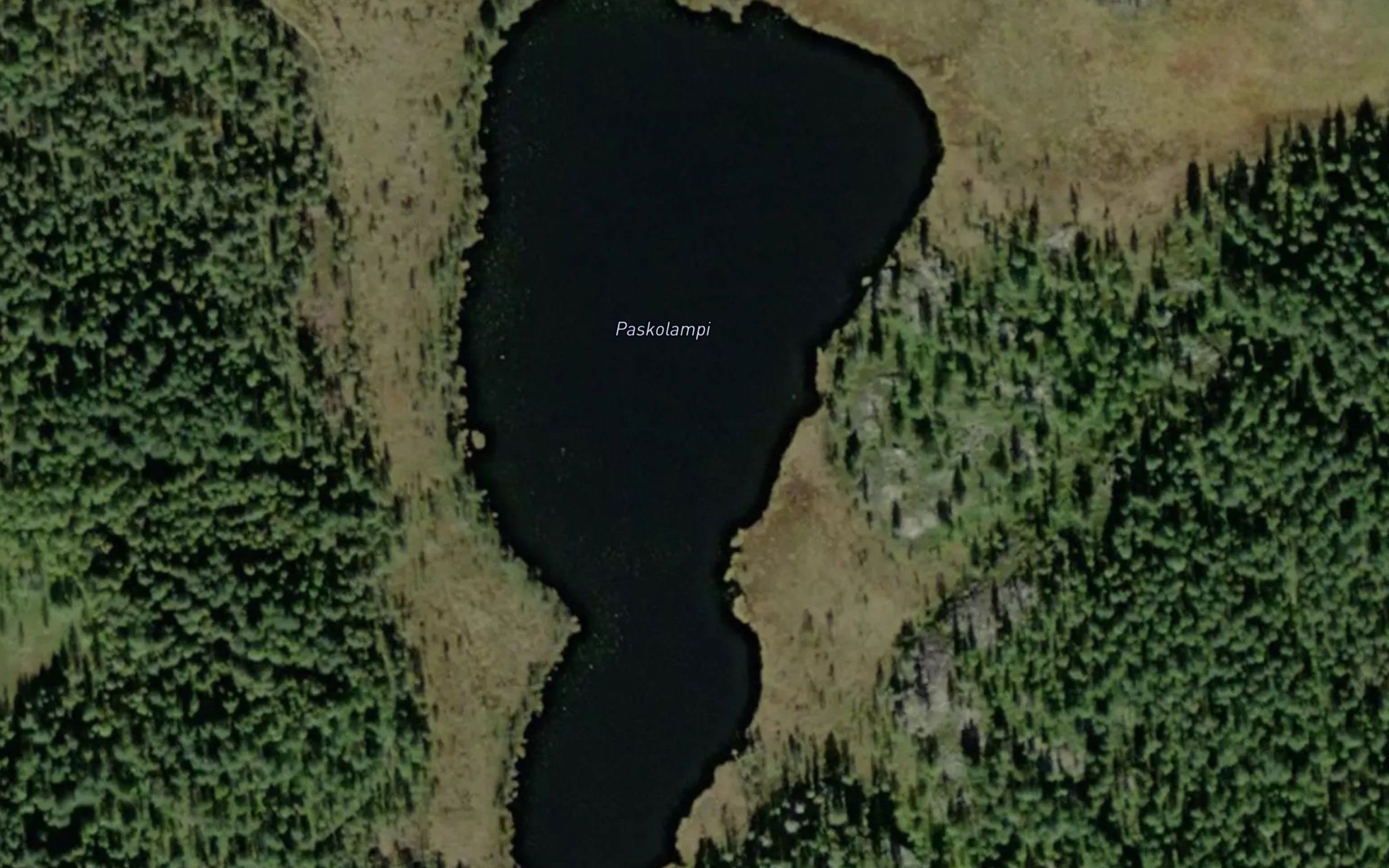 Paskolampi