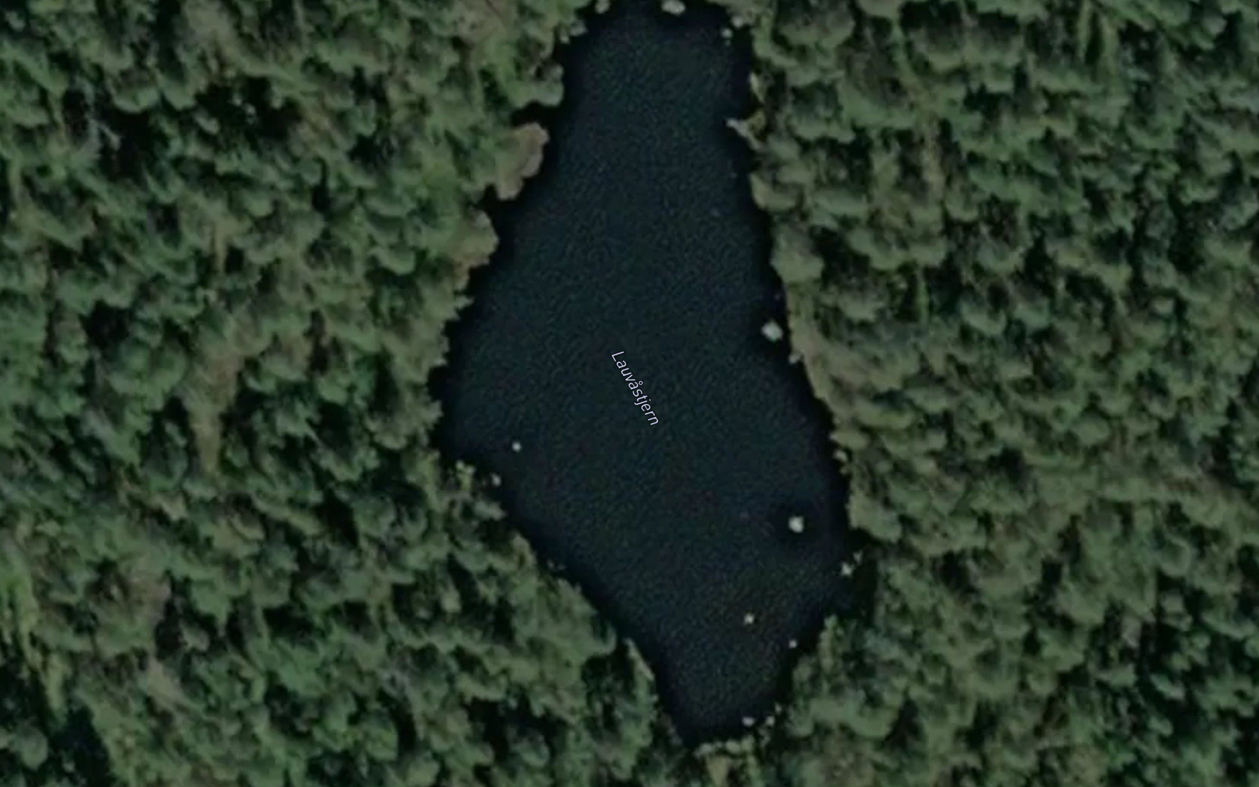 Lauvastjern