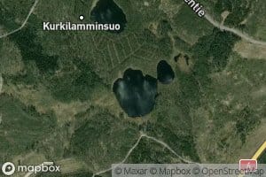 Kurkilampi