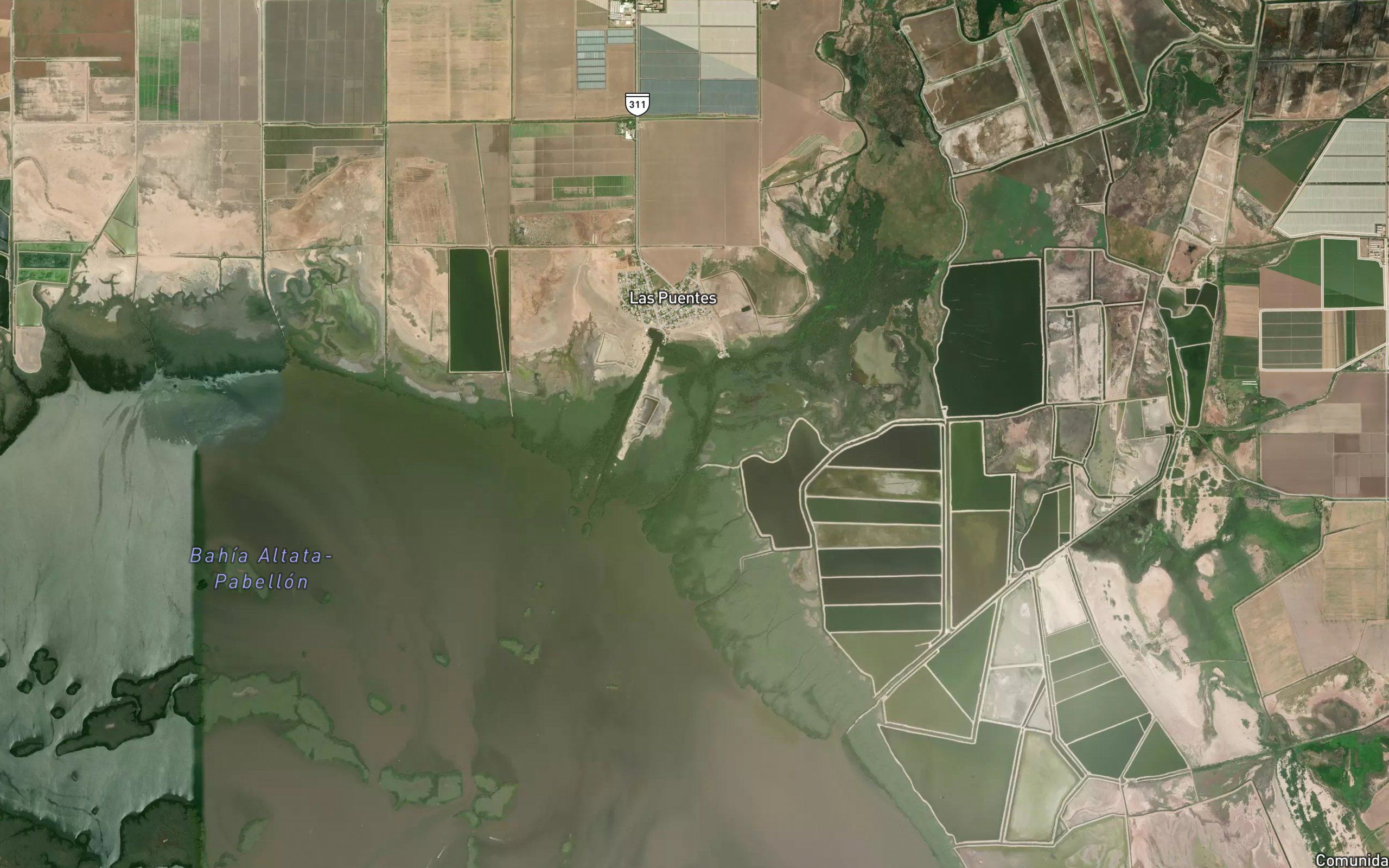 Estero Viejo