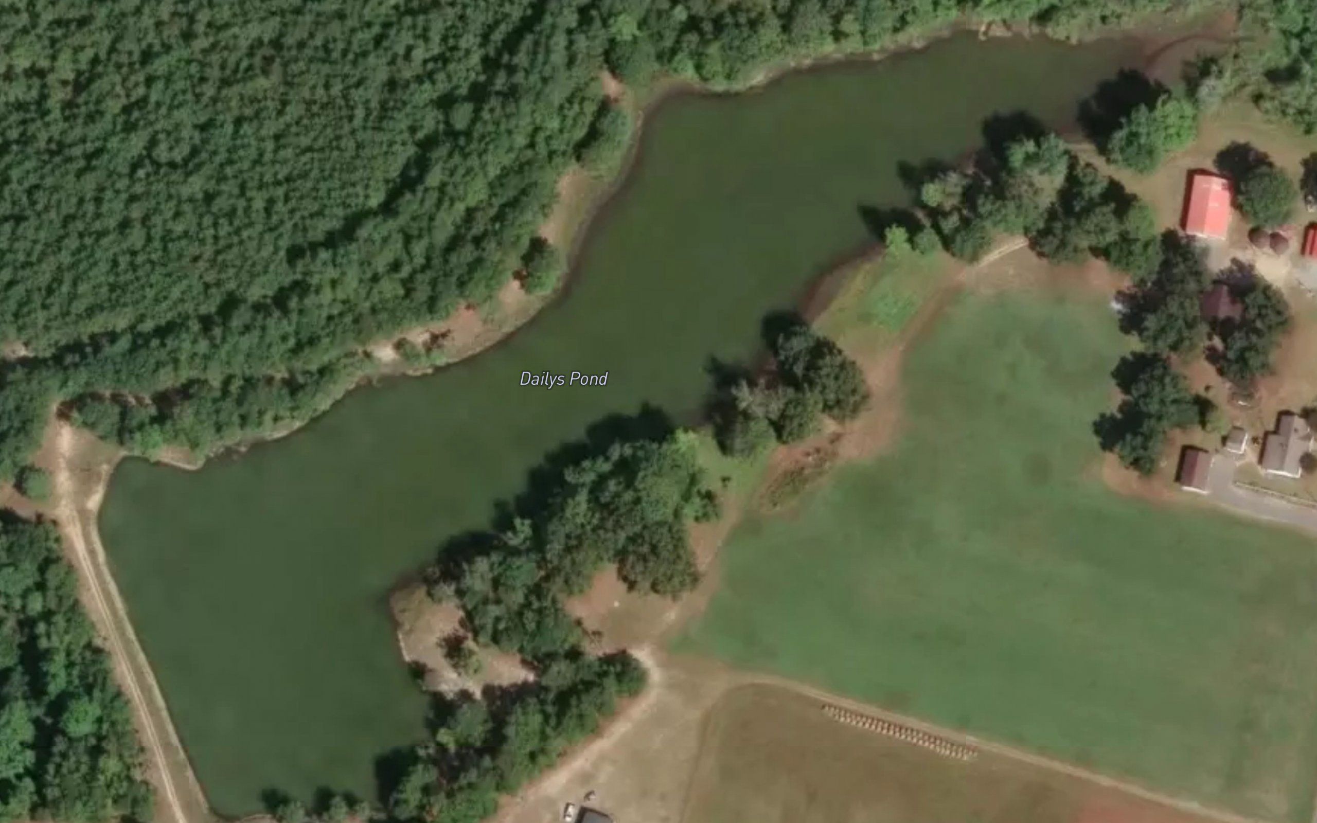 Dailys Pond