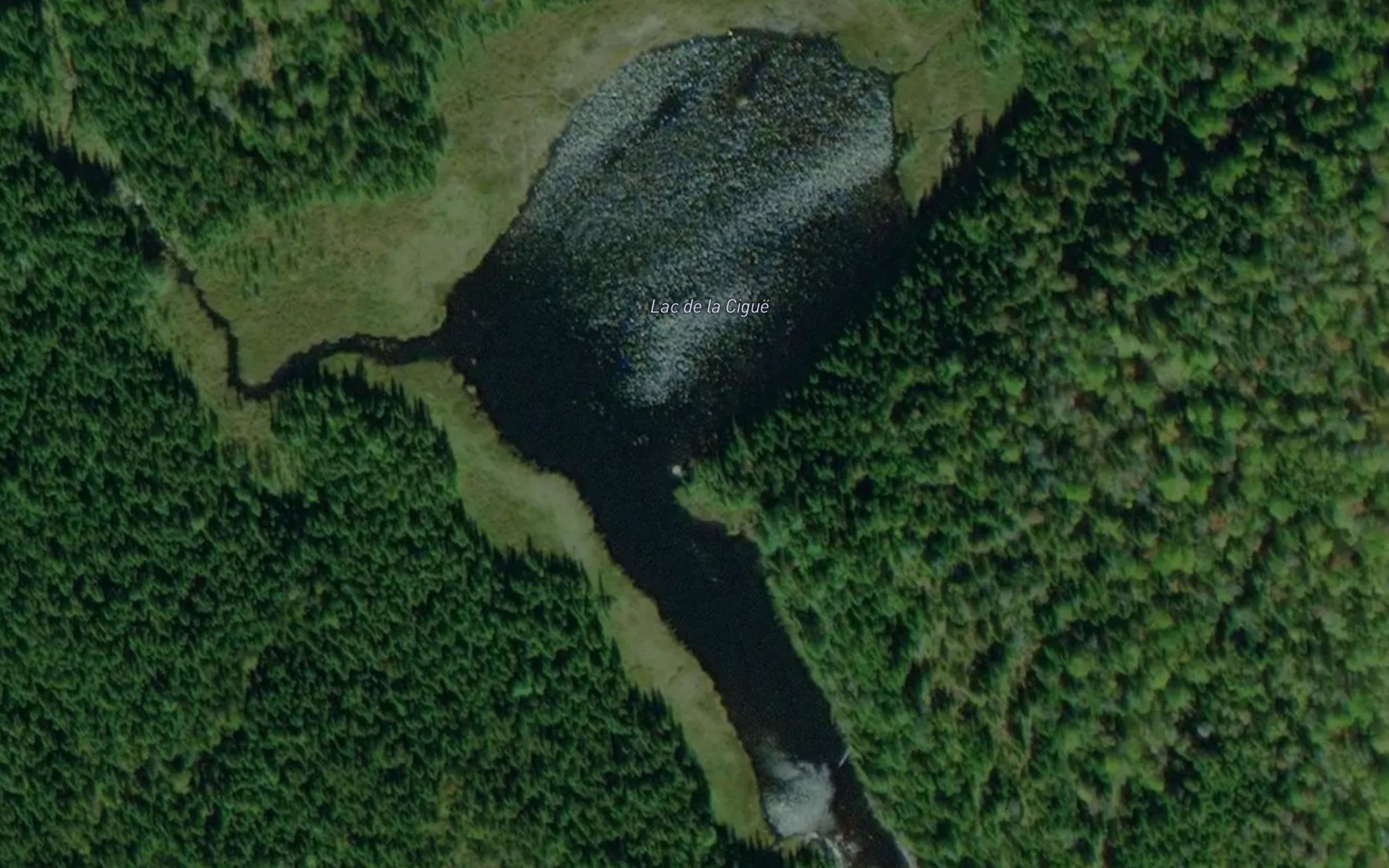 Satellite map of the Lac de la Cigue