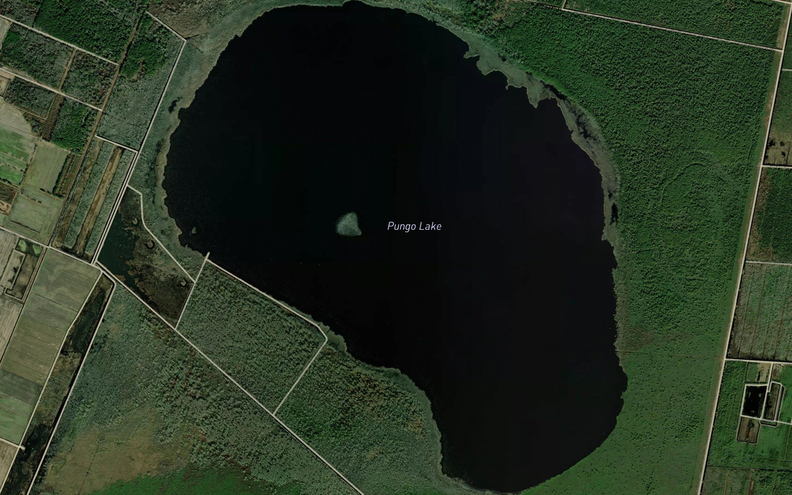Pungo Lake
