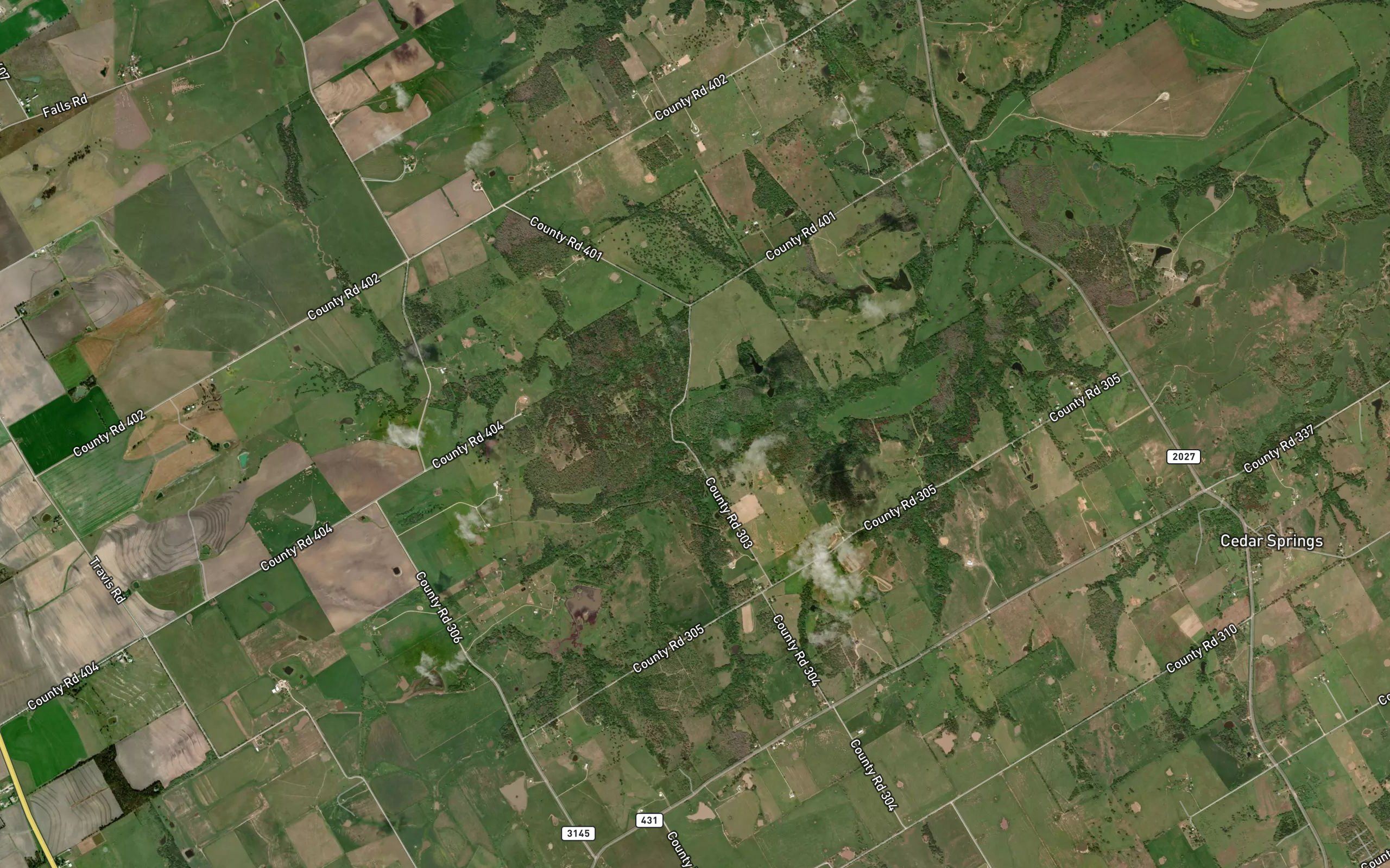 Bell Branch