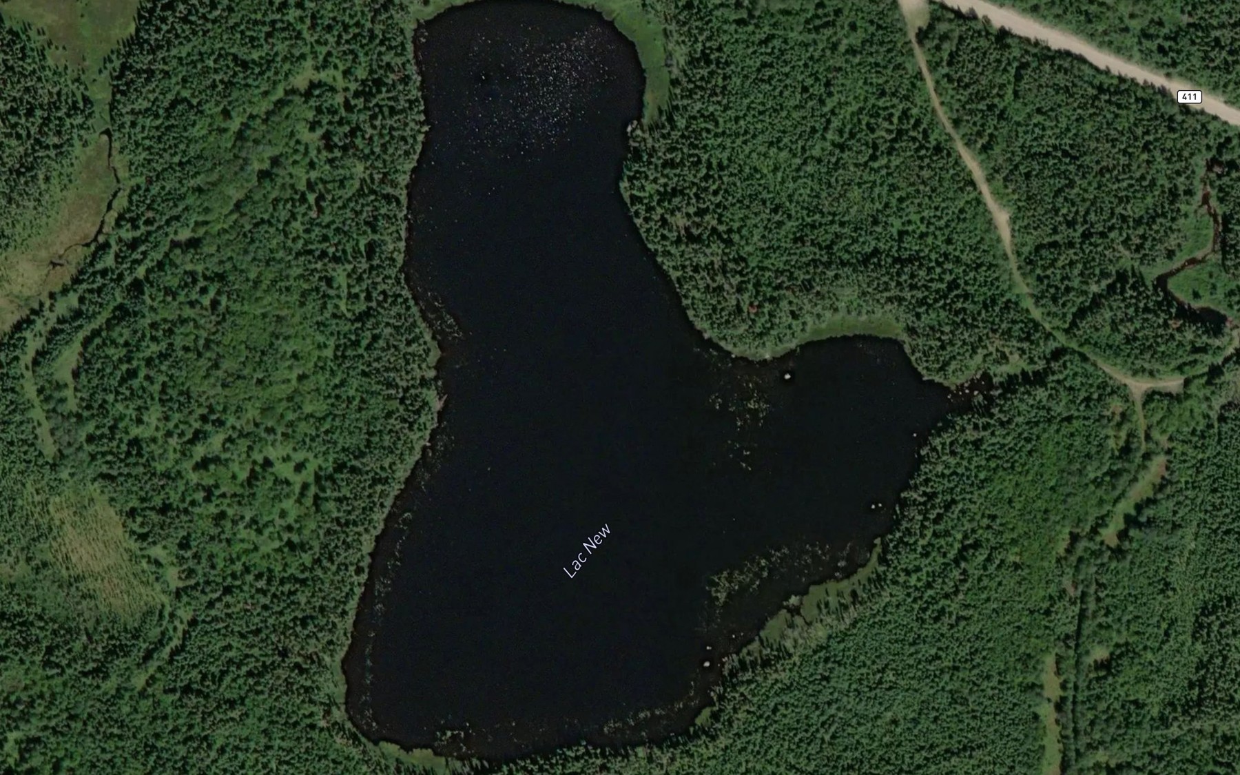 Satellite map of the Lac New