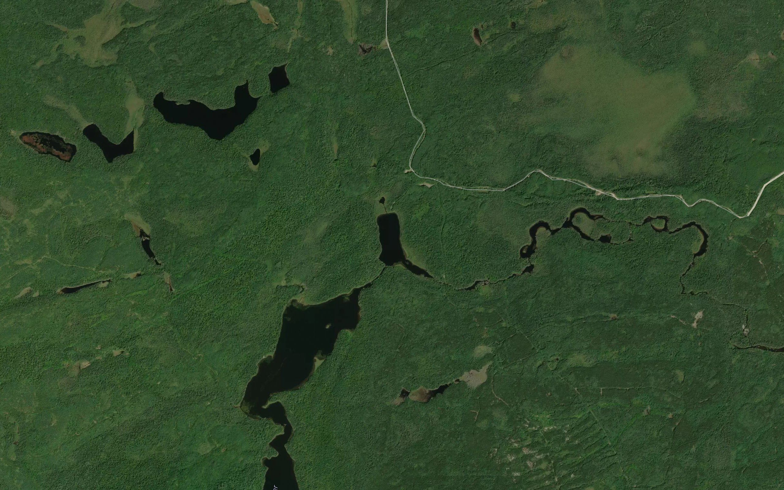 Laughing Bird Lake