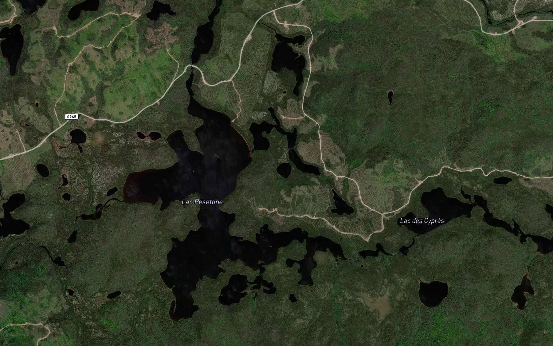 Satellite map of the Lac Michel