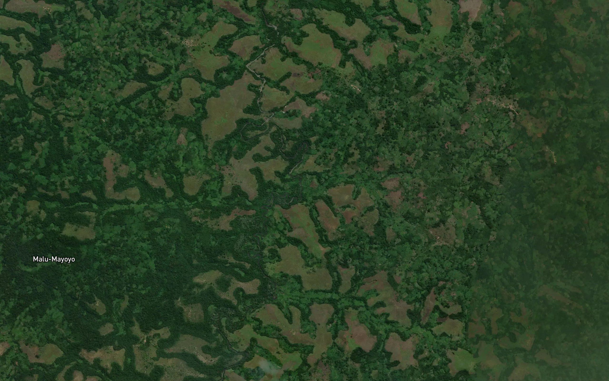 Kaswa