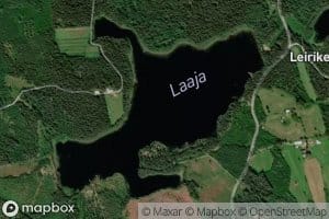 Laaja