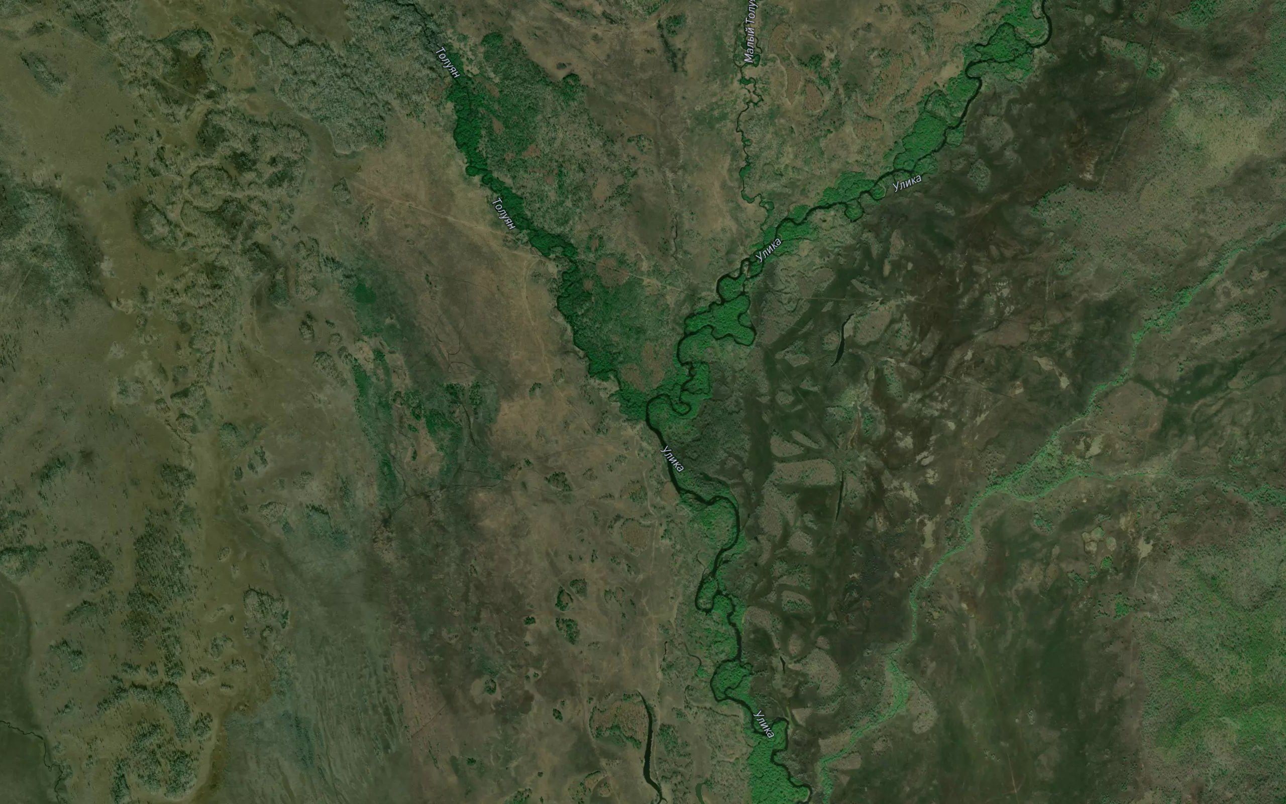 Toluyan