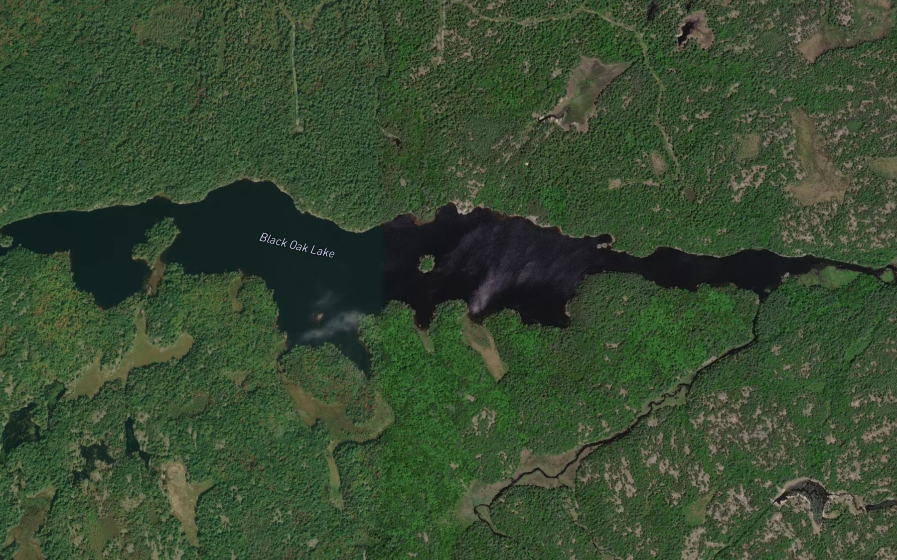 Satellite map of the Black Oak Lake