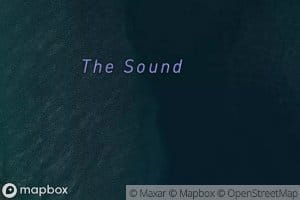 The Sound