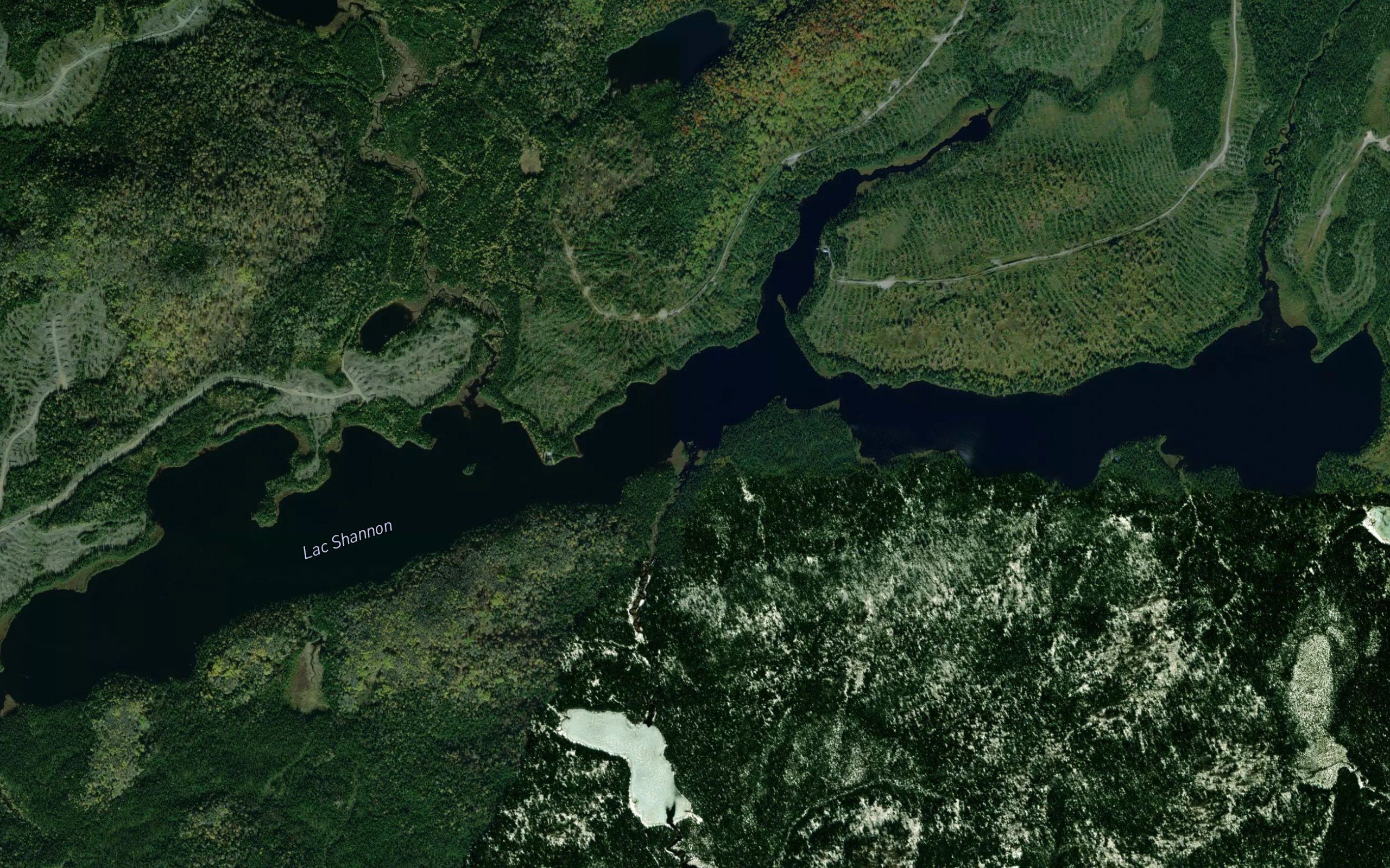 Lac Shannon