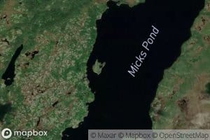 Micks Pond