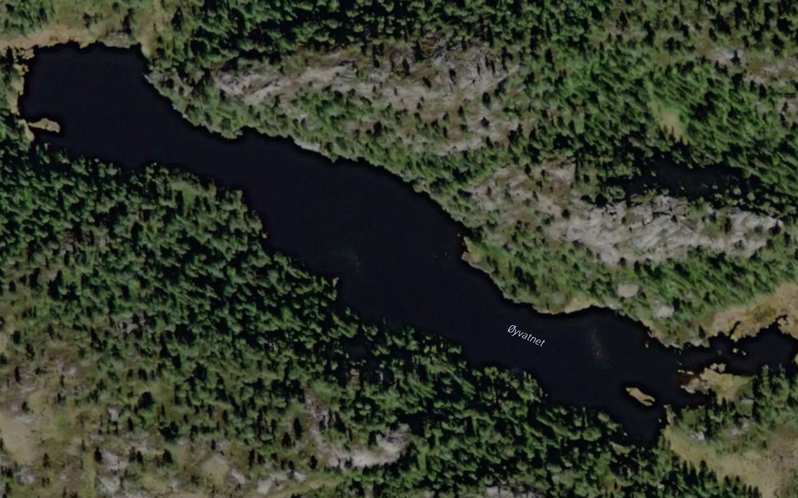 Oyvann