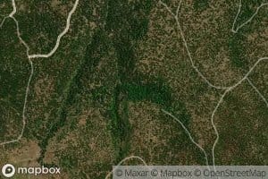 One Hundred and One Spring