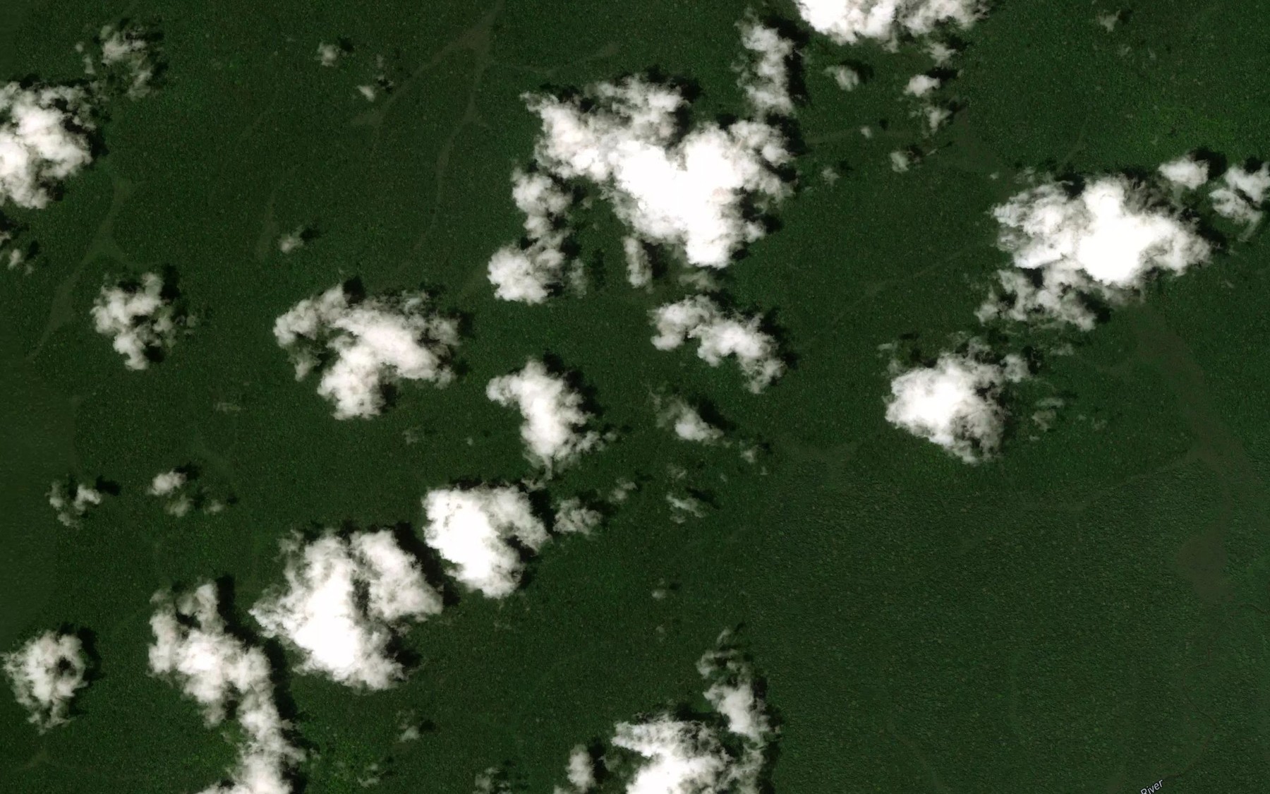 Satellite map of the Ntjela