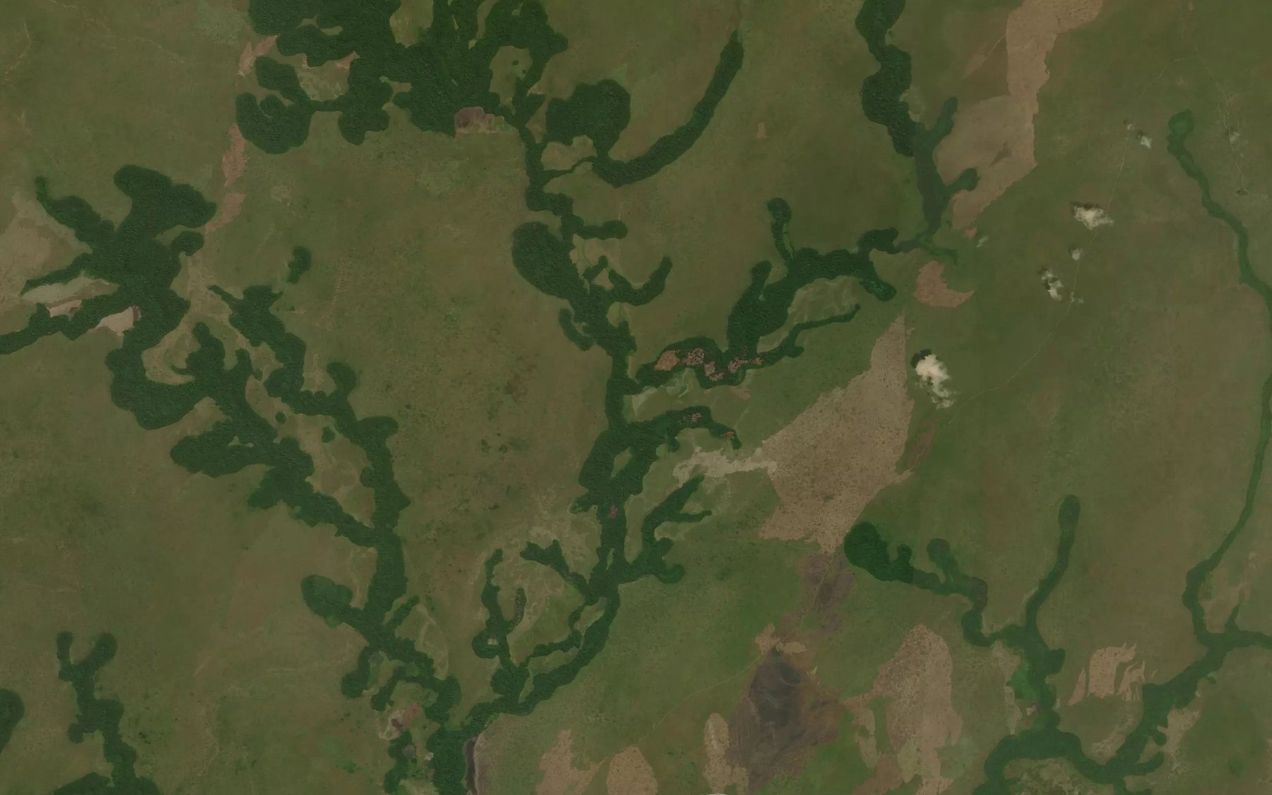 Satellite map of the Ngapiema