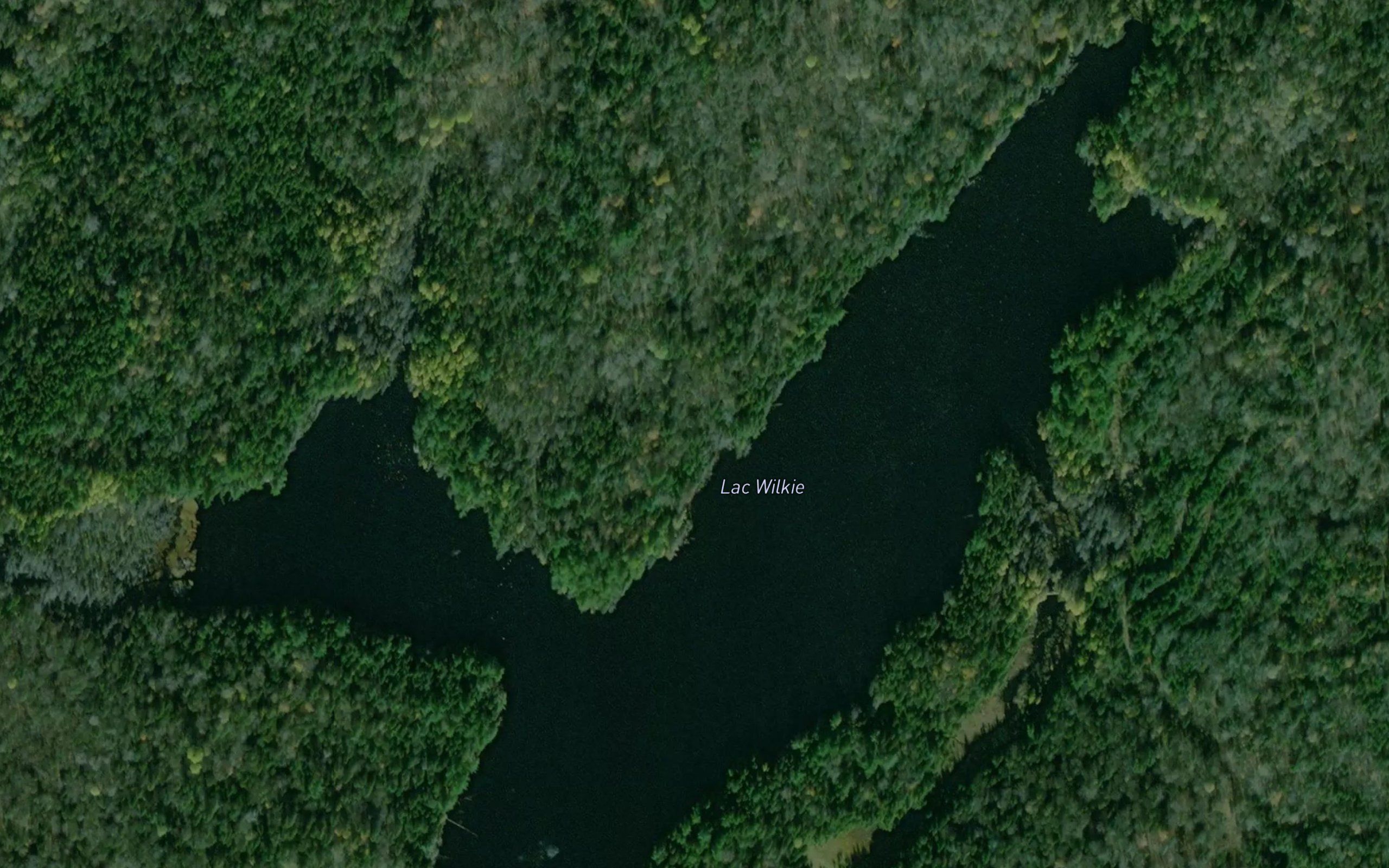 Lac Wilkie