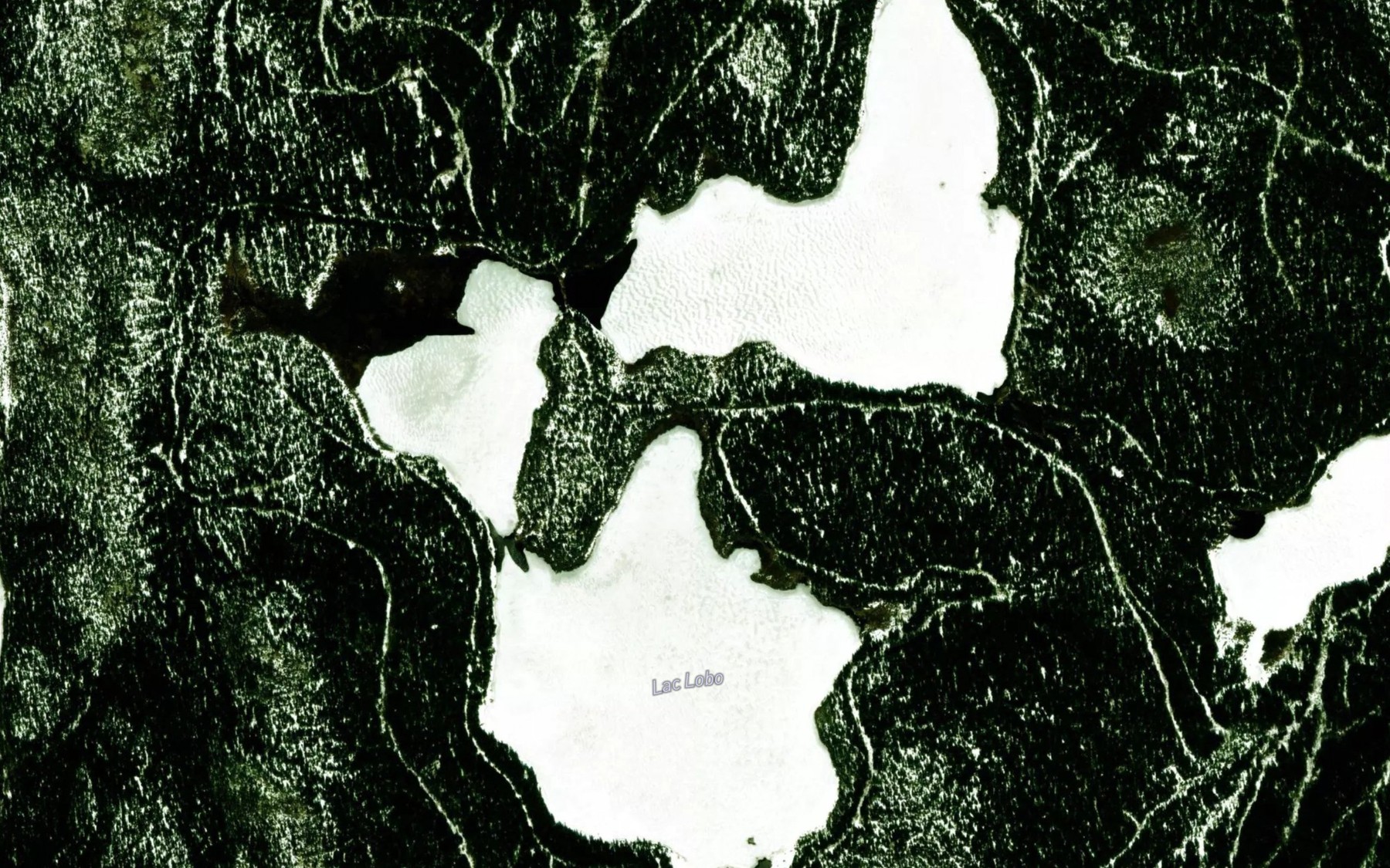 Satellite map of the Lac Lobo