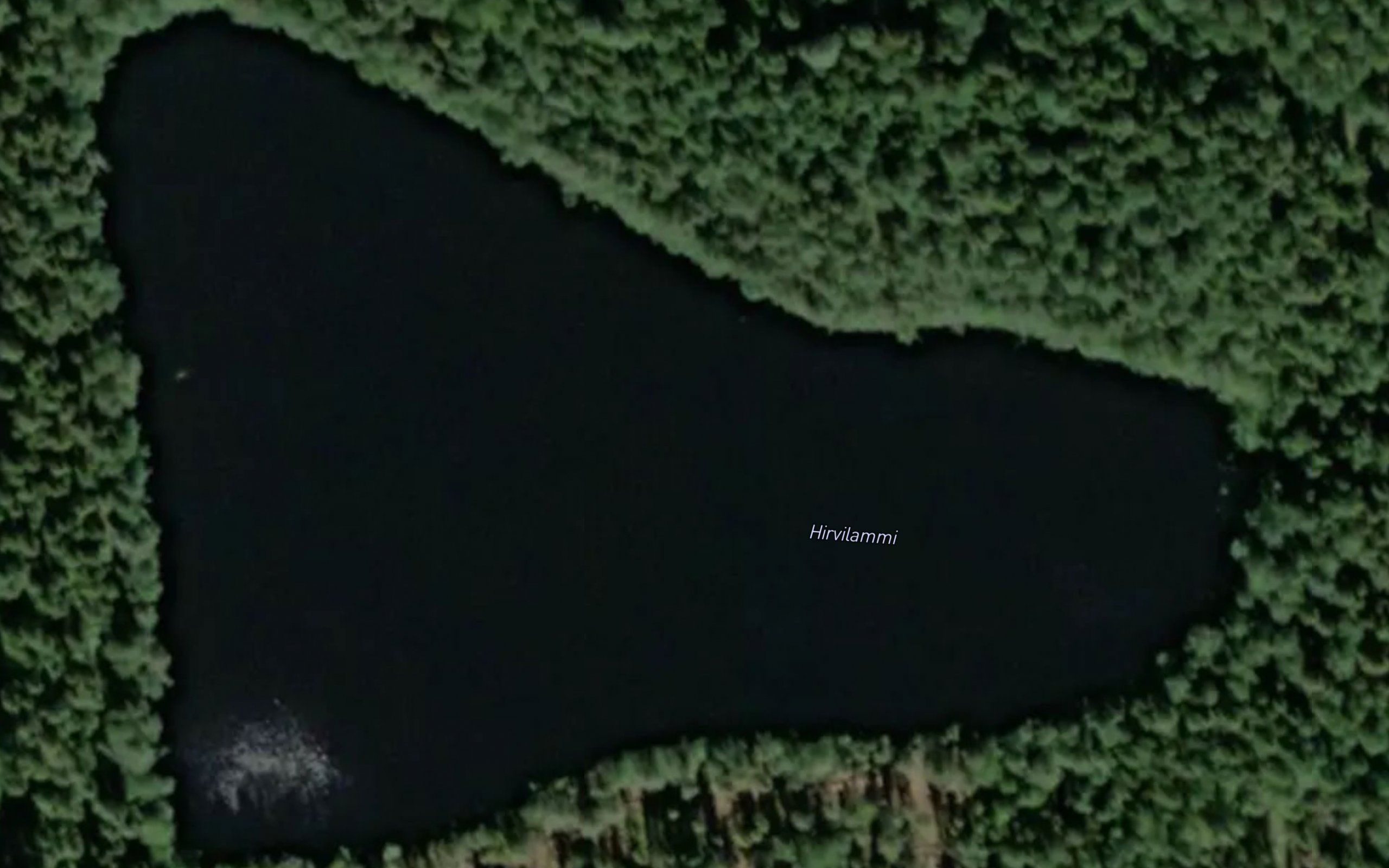 Hirvilammi