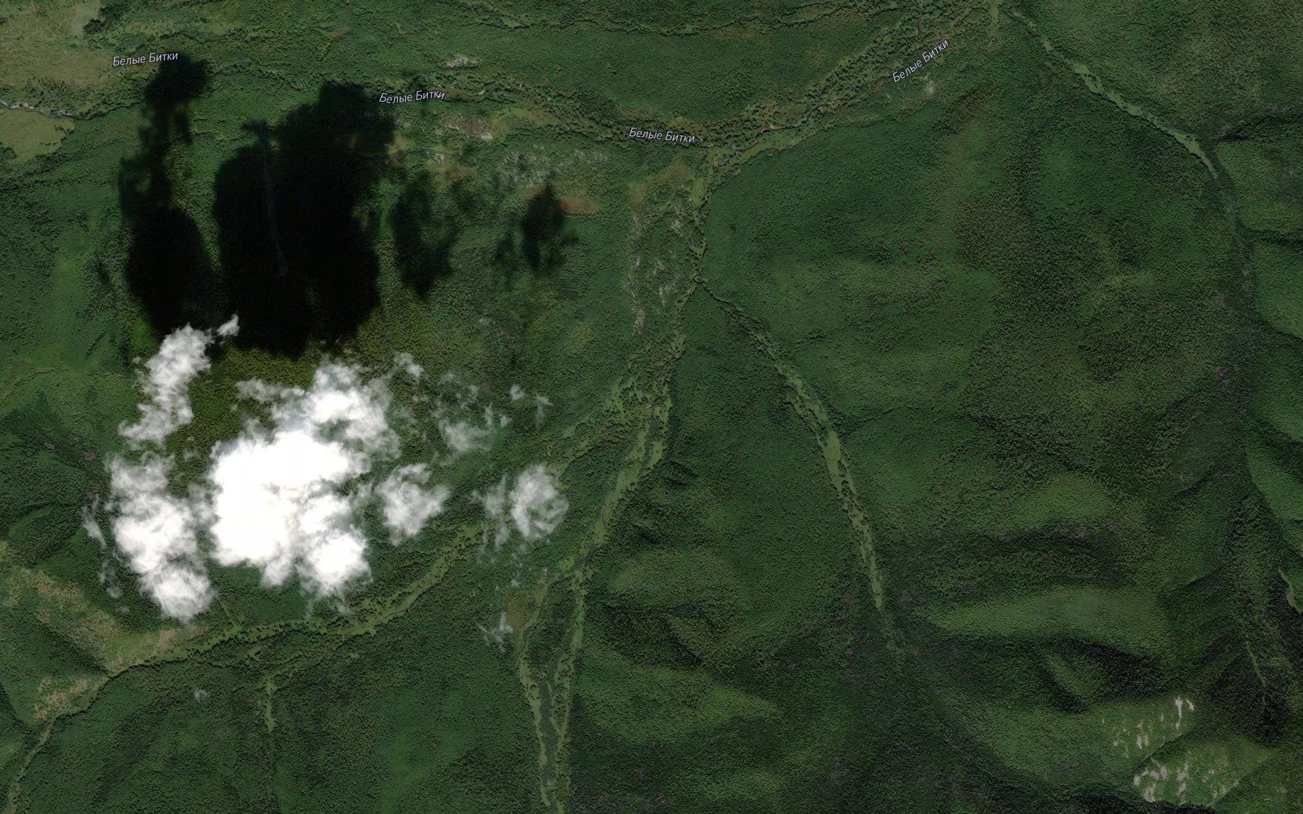 Skuchnyy