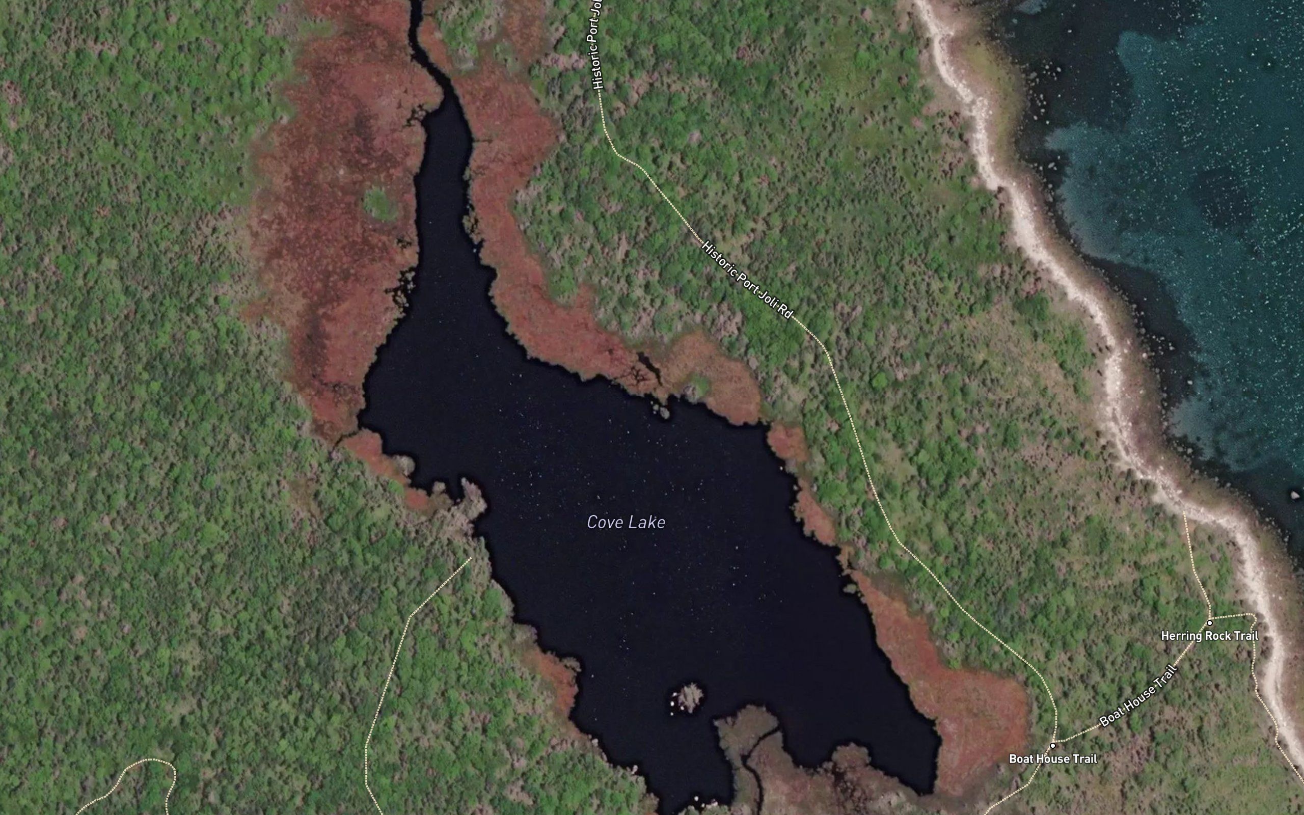 Cove Lake