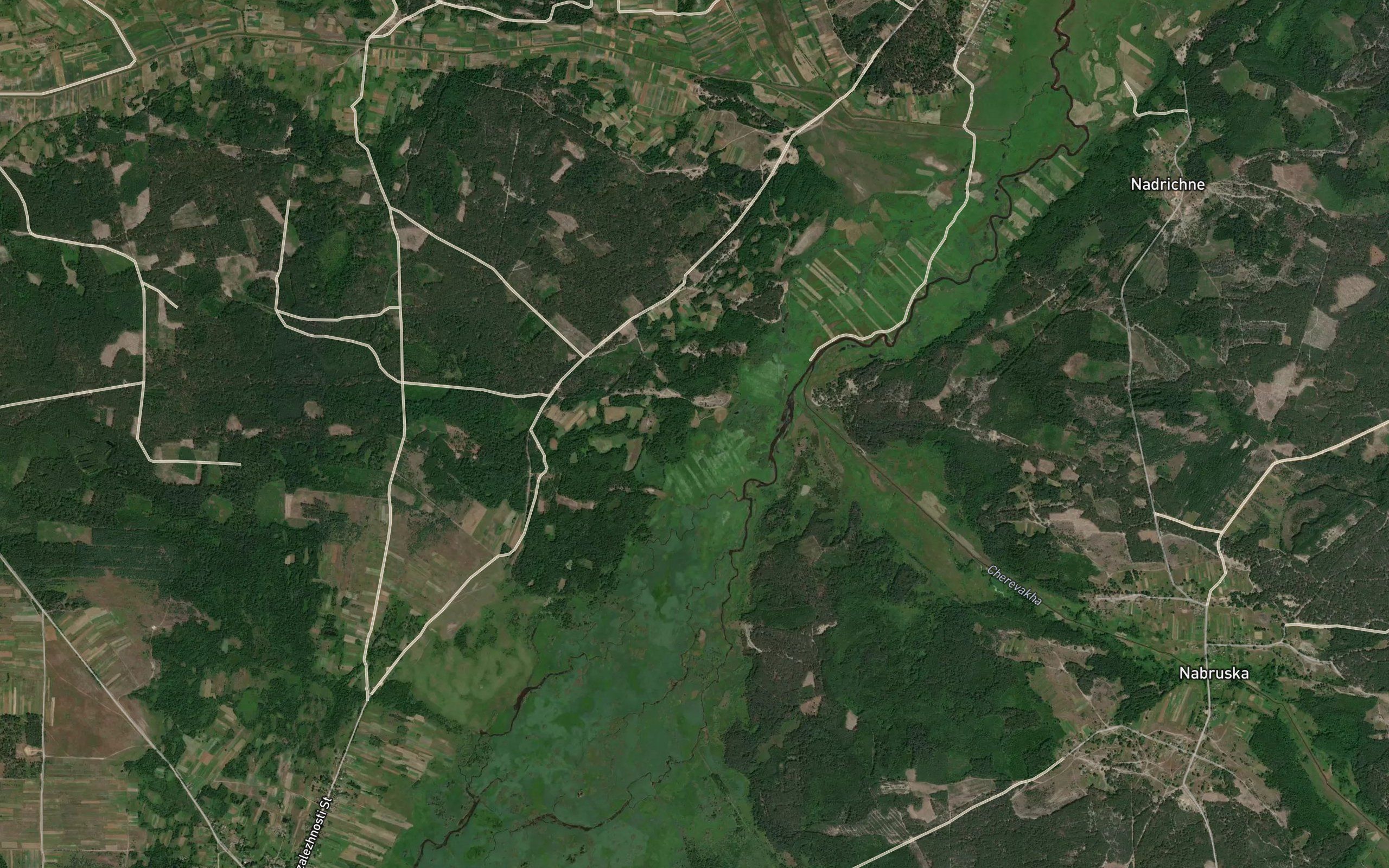 Cherevakha