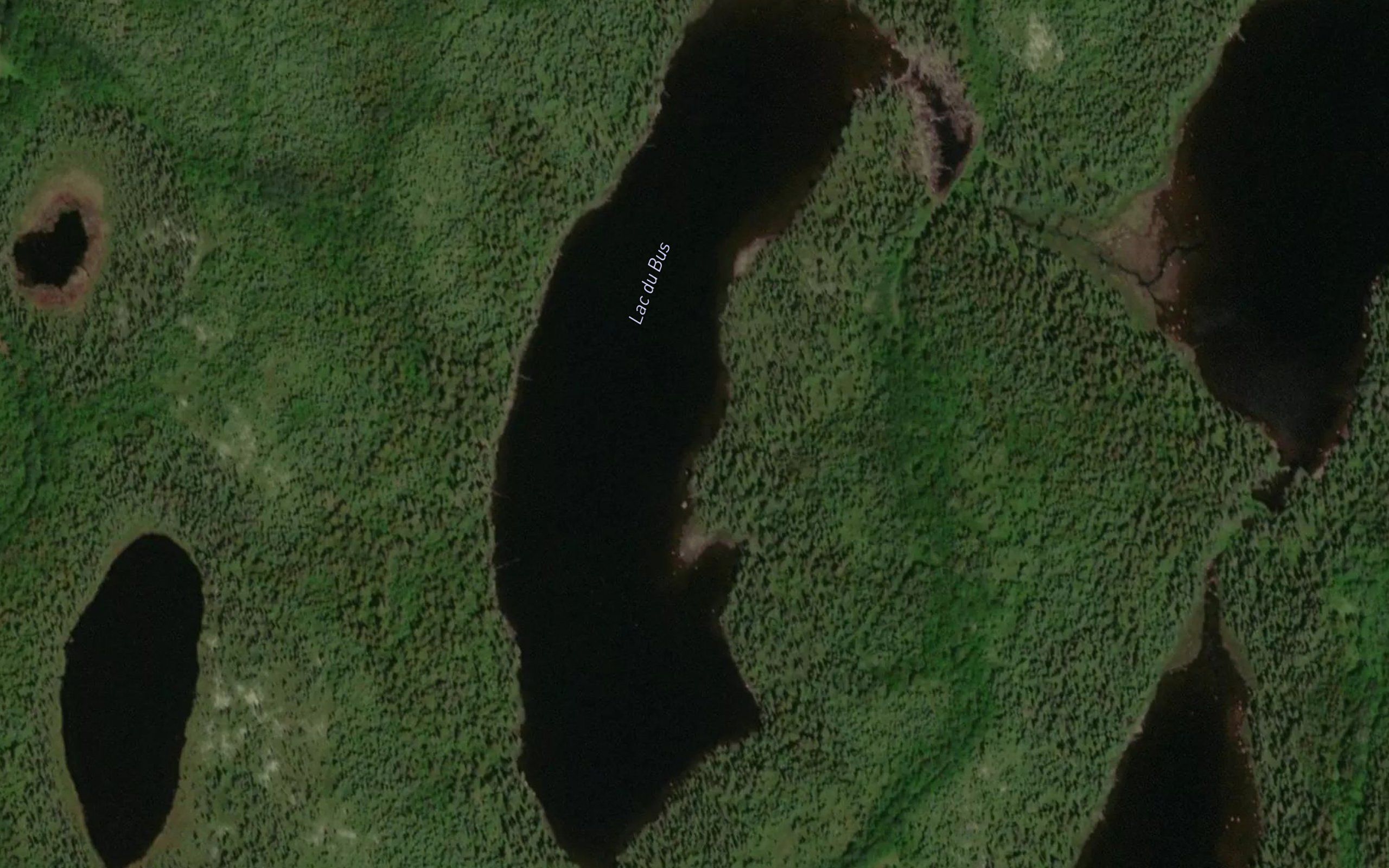 Lac du Bus