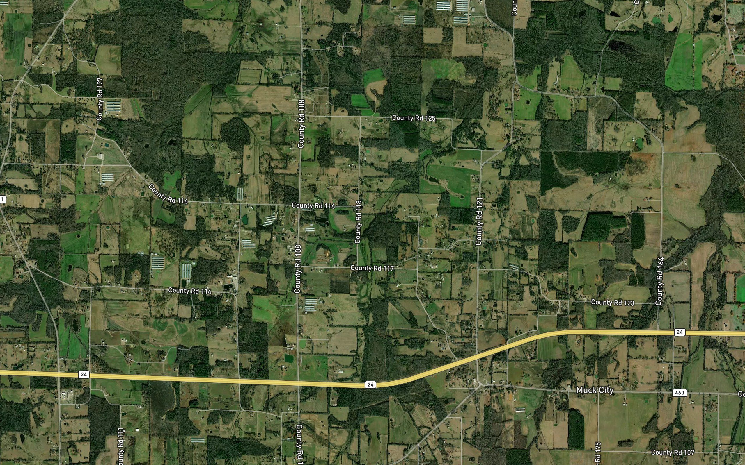 Randolph Branch