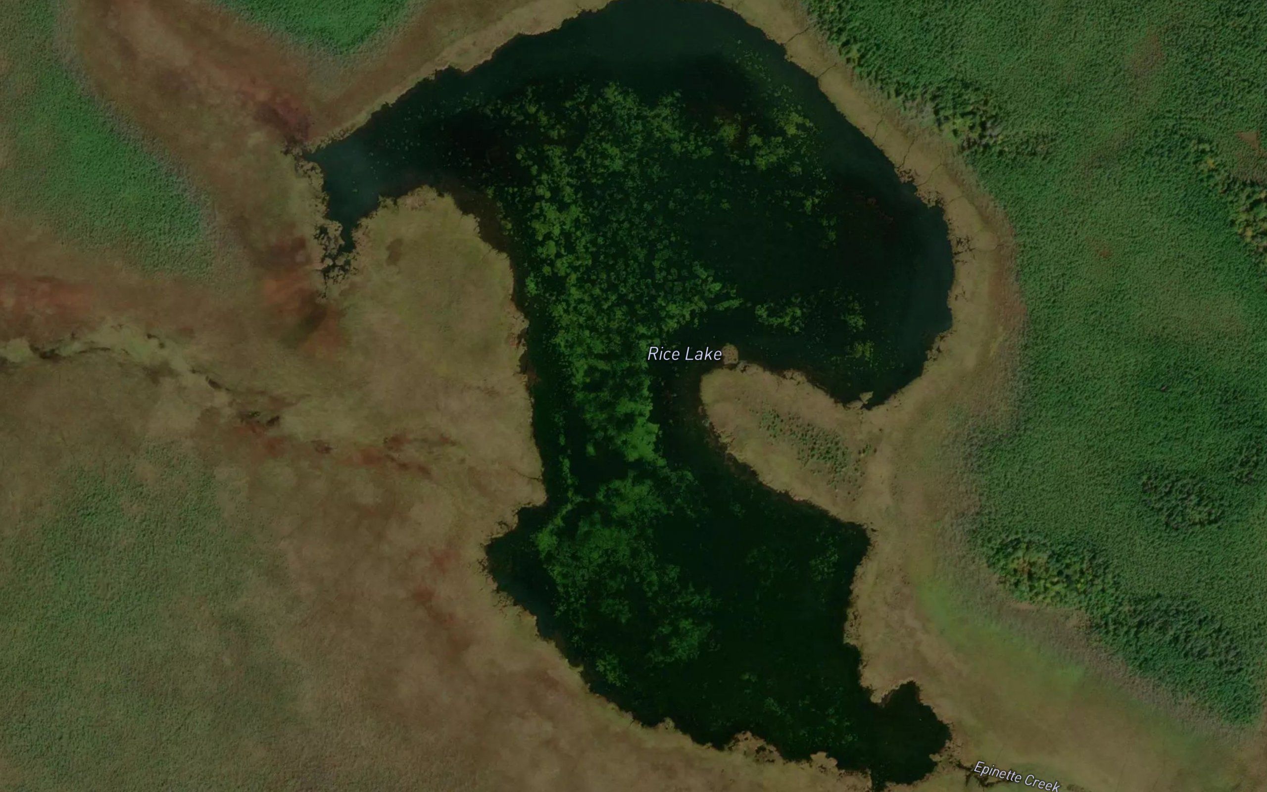 Rice Lake