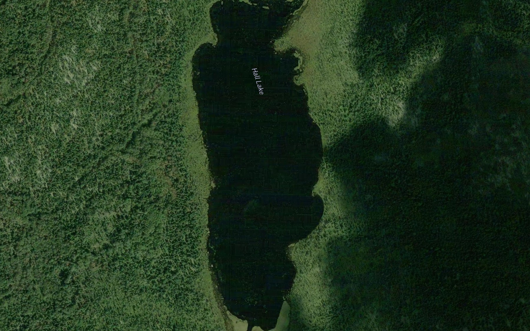 Satellite map of the Hall Lake