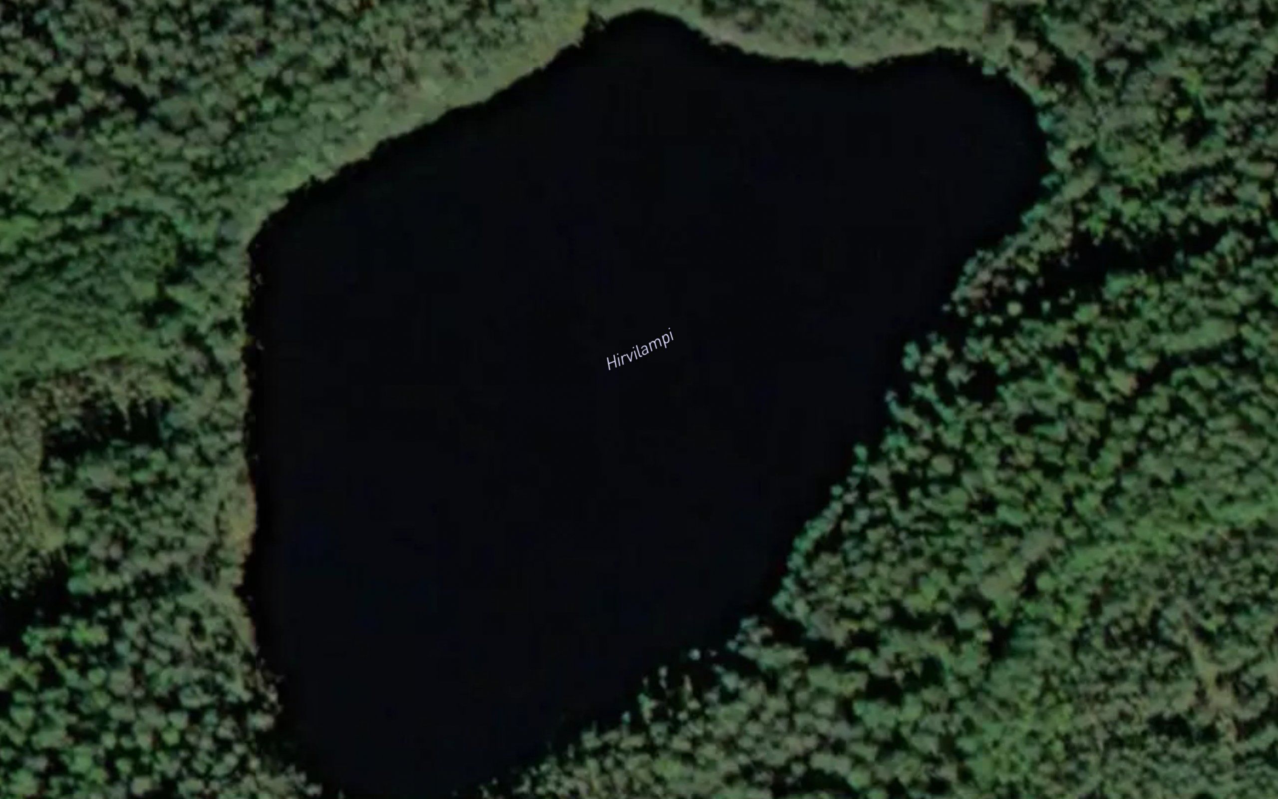 Hirvilampi