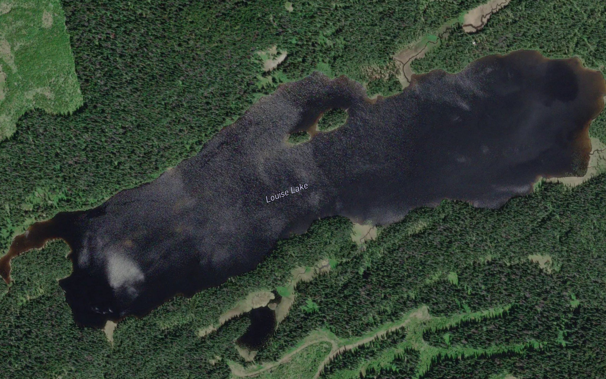 Louise Lake