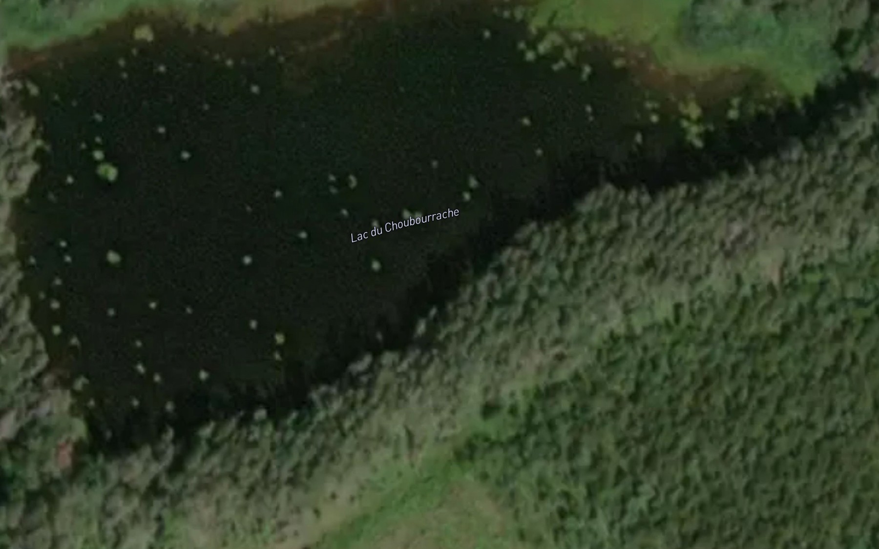 Satellite map of the Lac du Choubourrache