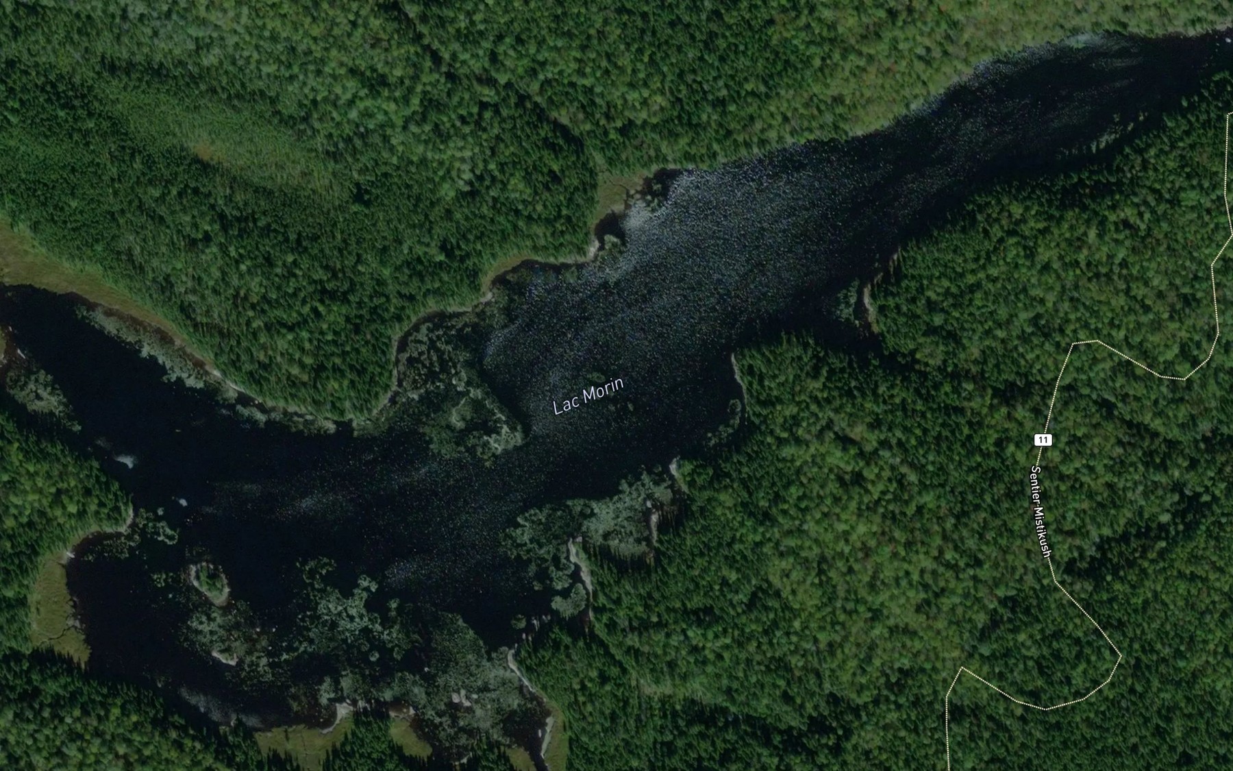 Satellite map of the Lac Morin
