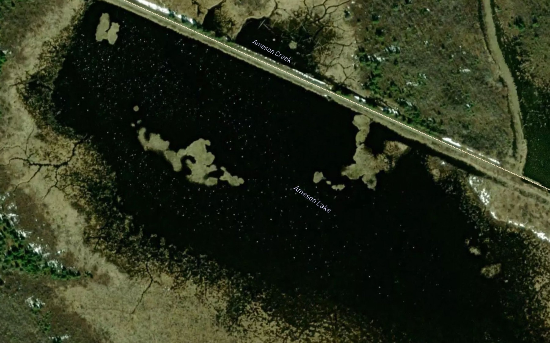 Satellite map of the Ameson Lake
