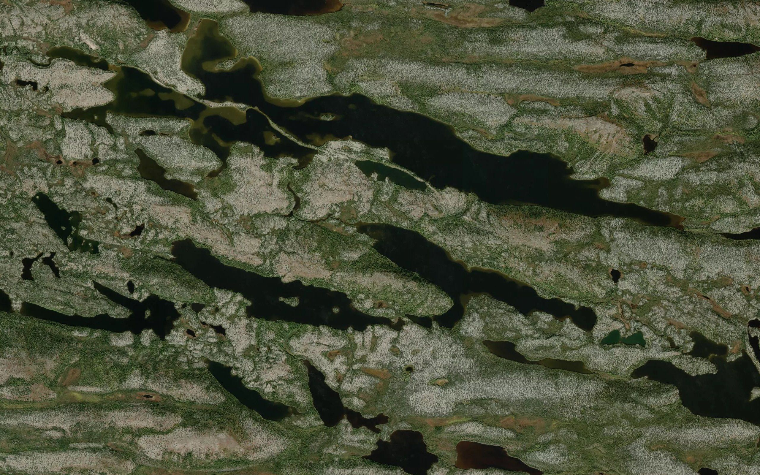 Lacs Kawasikusu