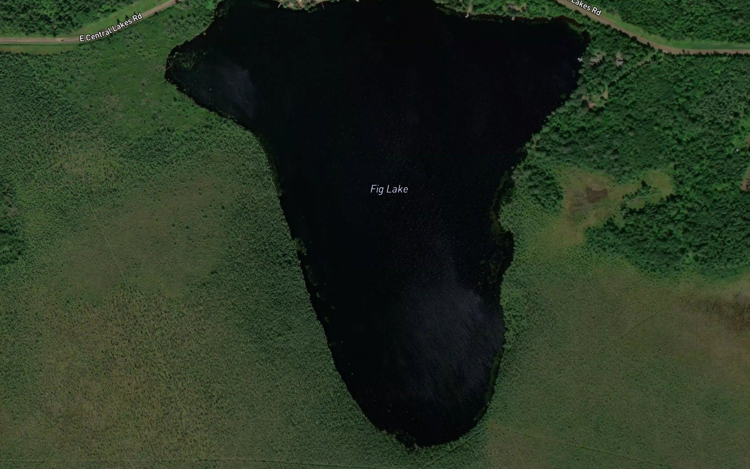 Fig Lake