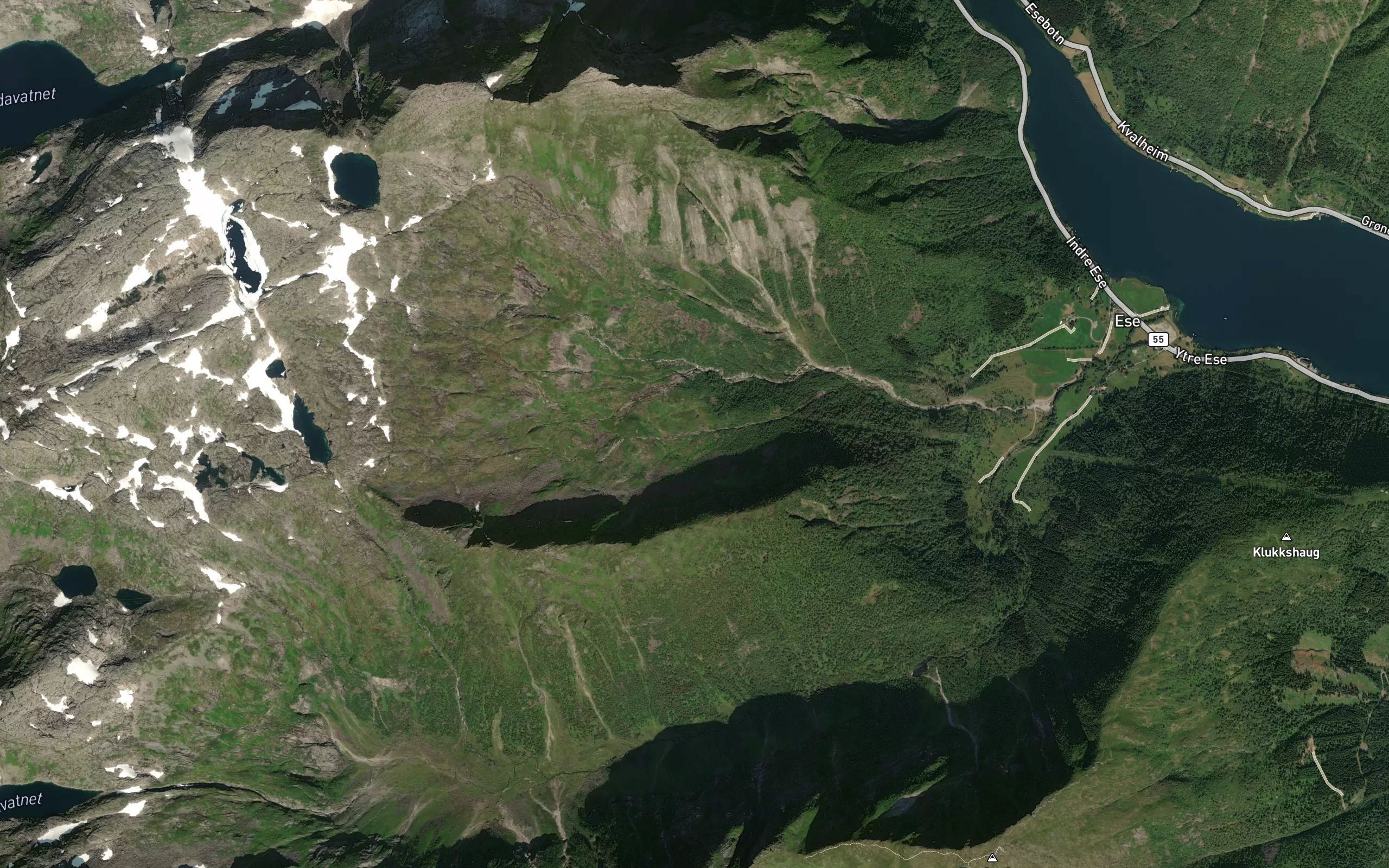 Kvanngrogrovi
