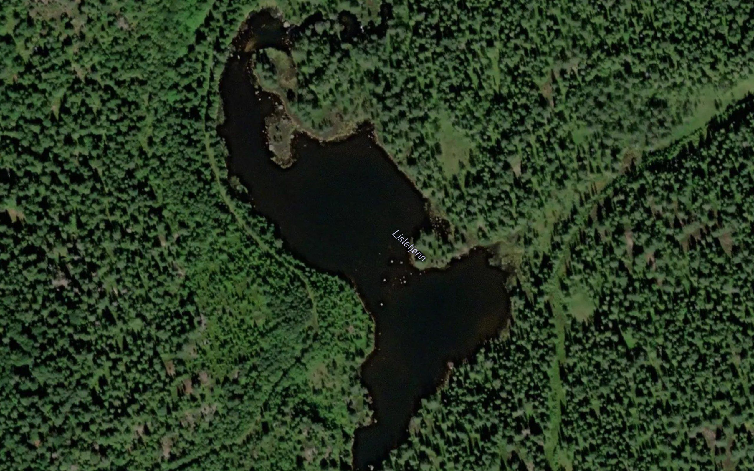 Lisletjorn