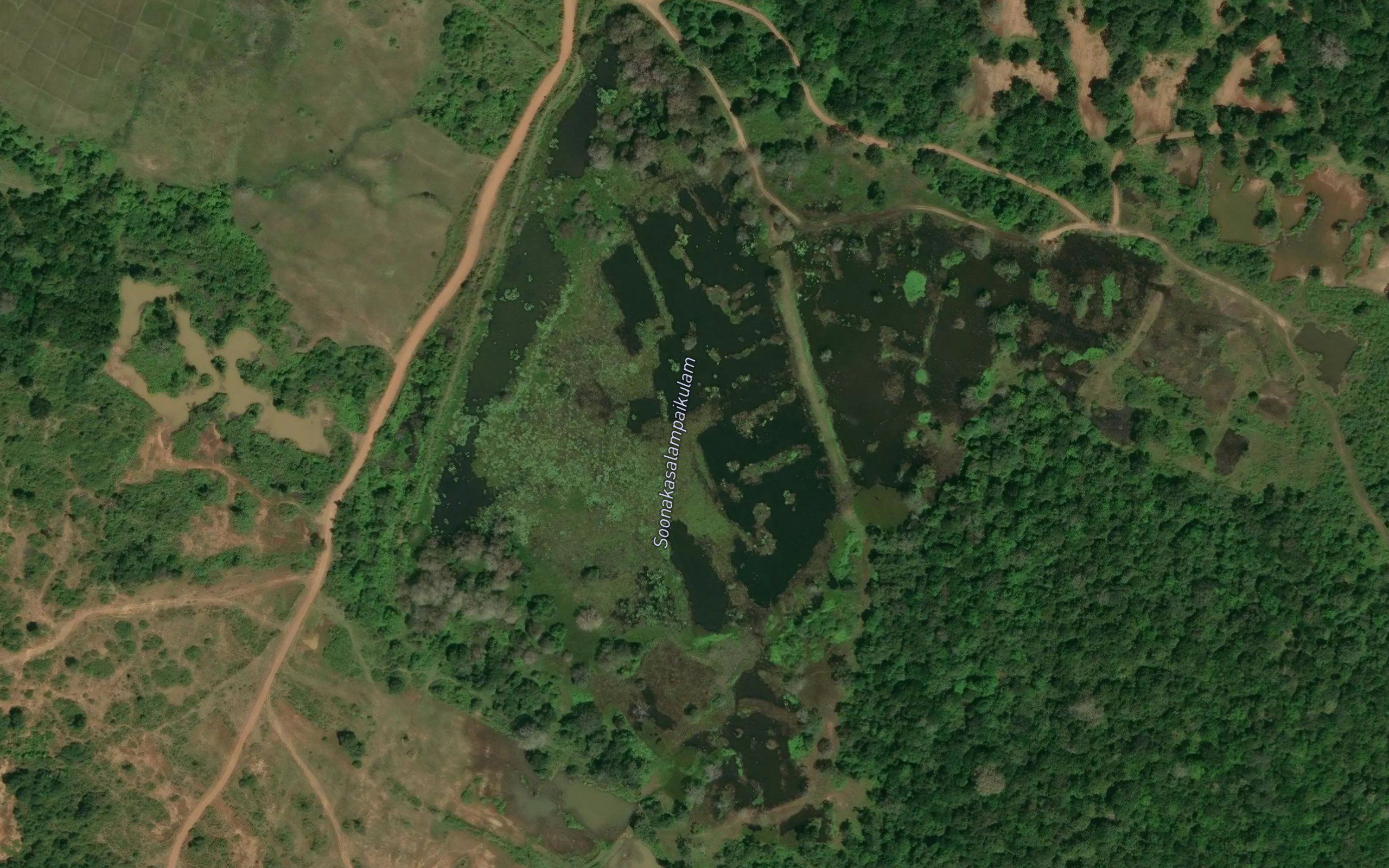 Kanakusalampai Kulam