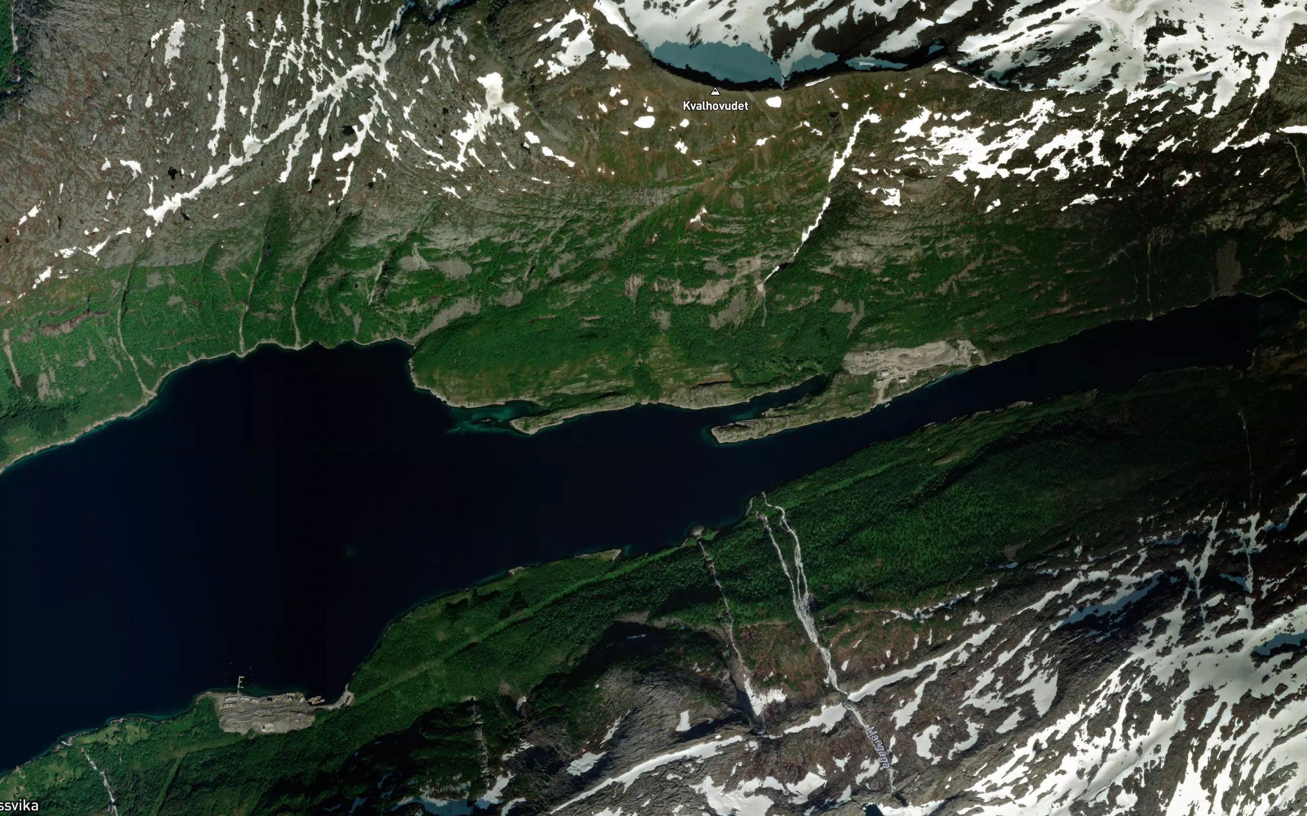 Skjervika