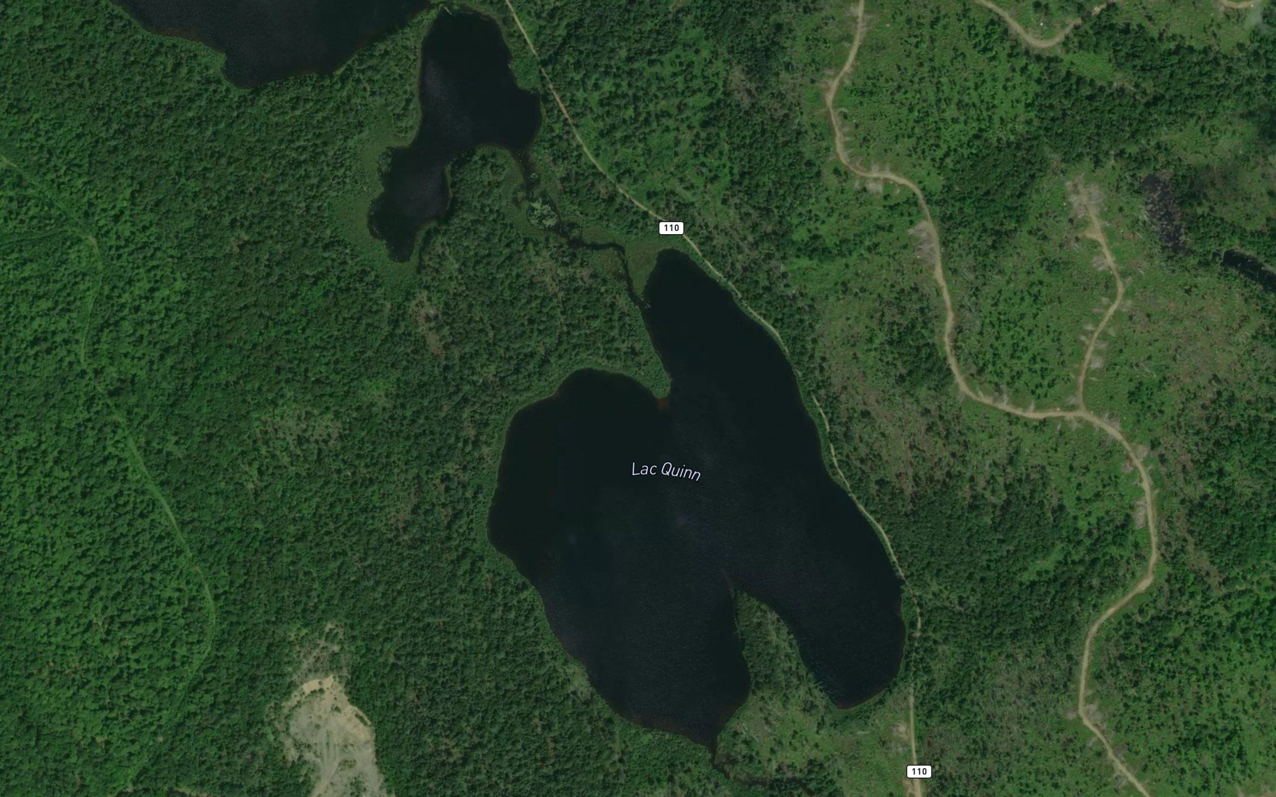 Lac Quinn