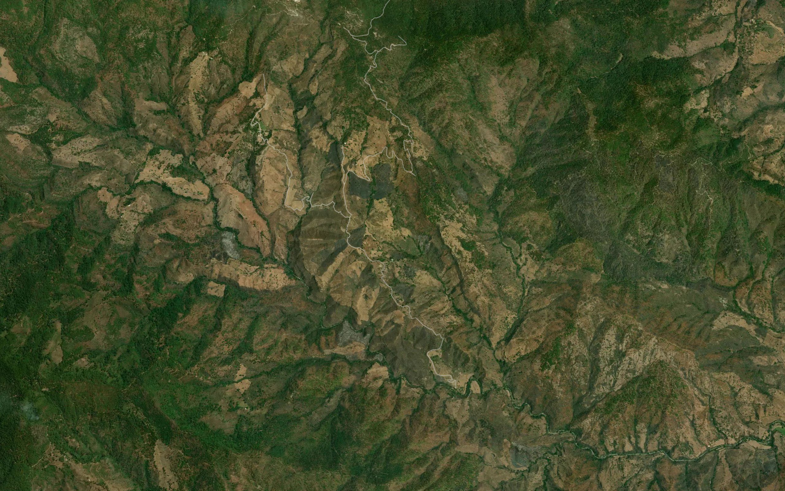 La Palmera