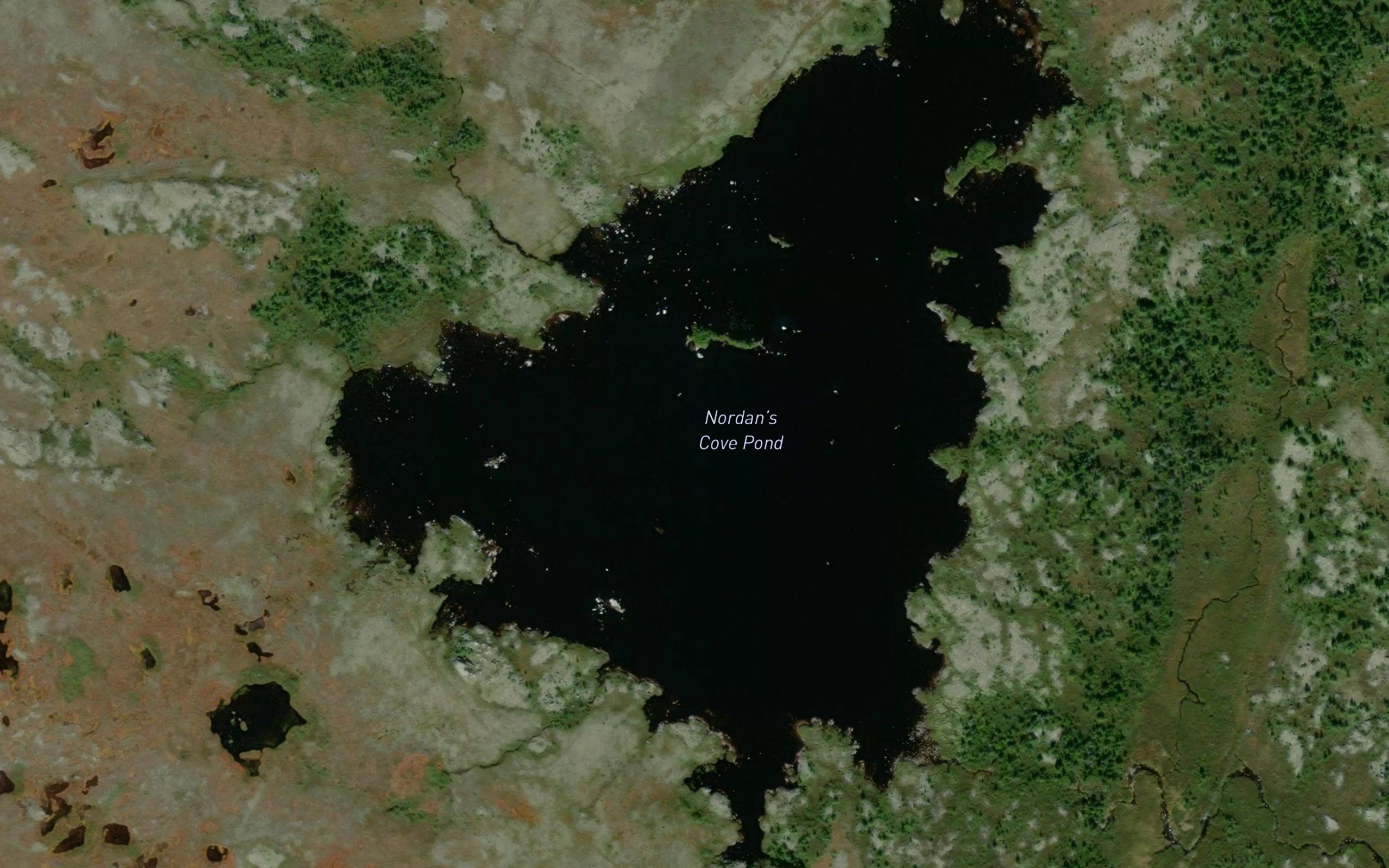 Nordan's Cove Pond